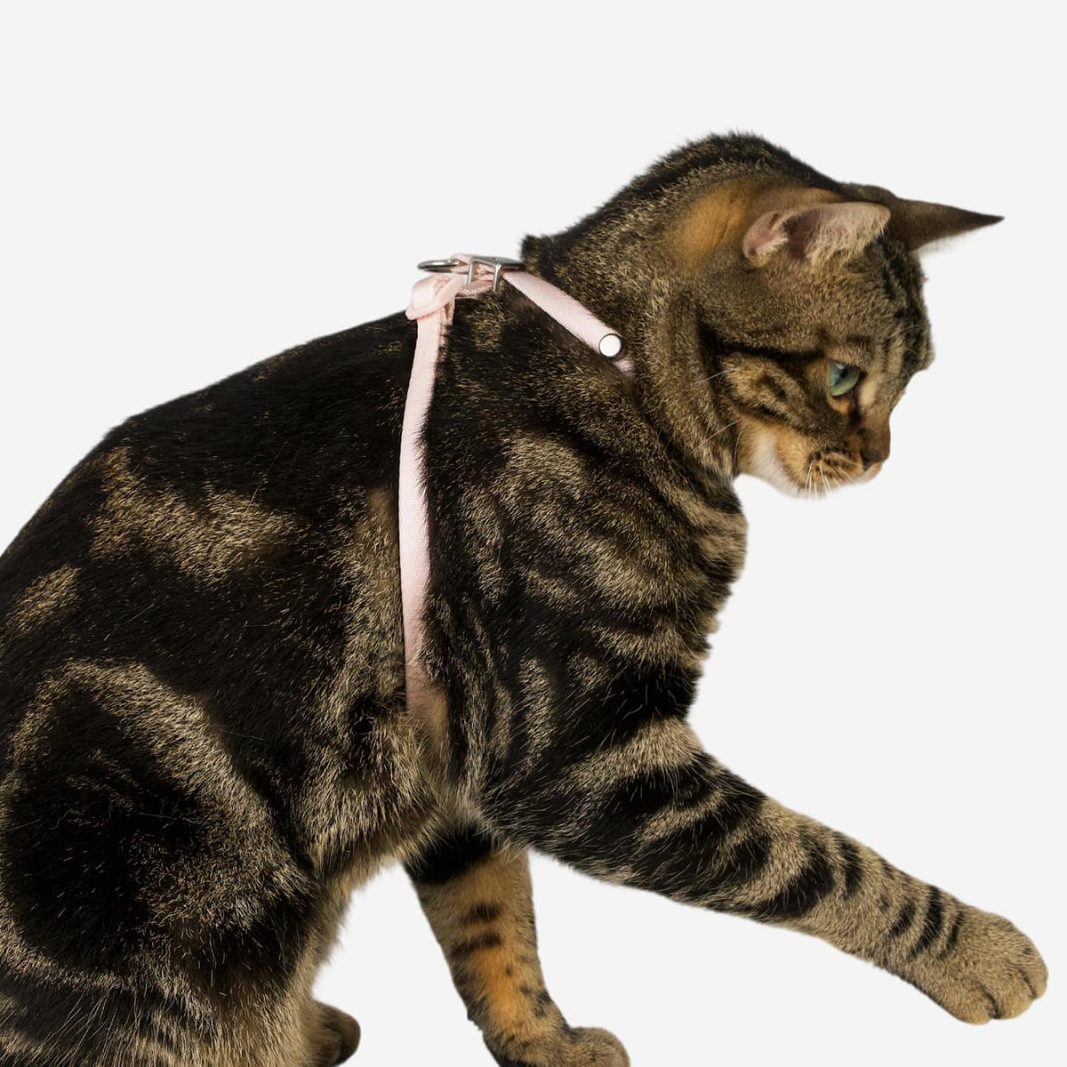 Escape Proof Cat Harness Anti-Choke Quick Release, Linen