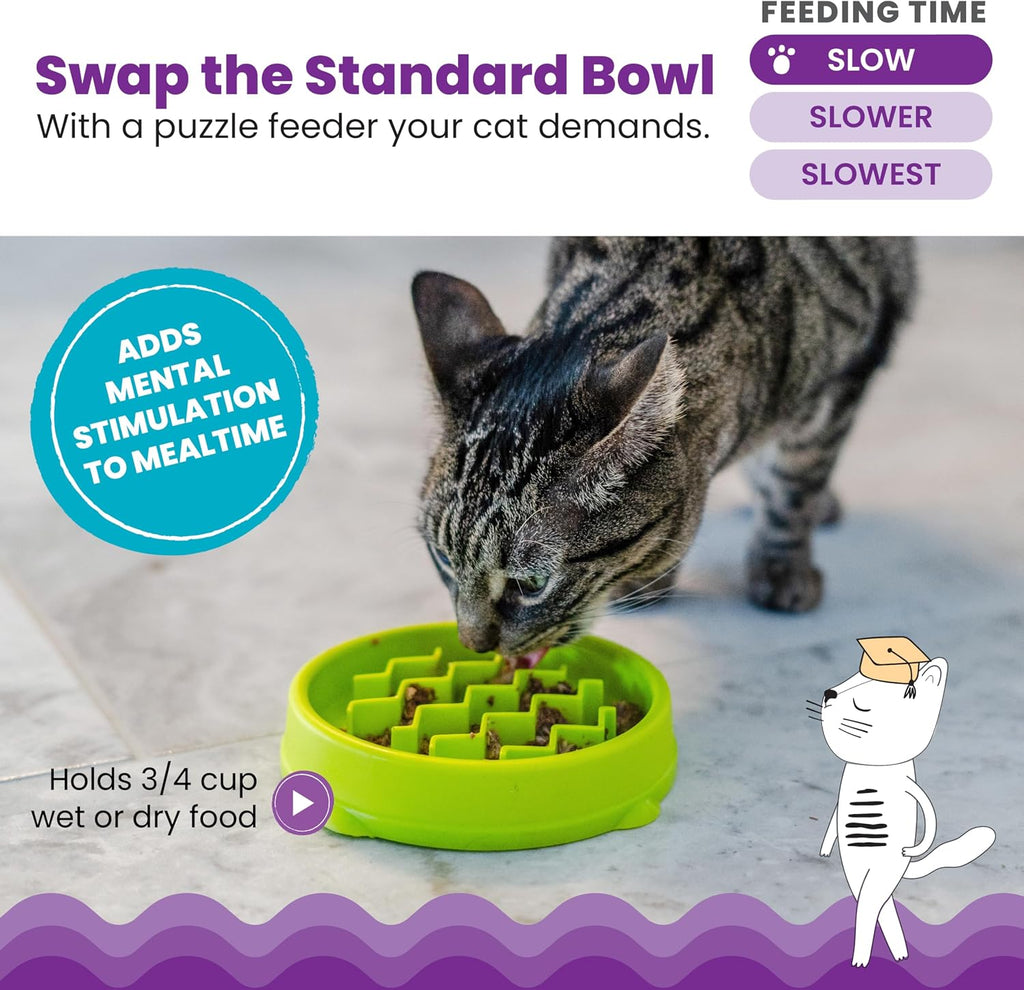 Catstages Kitty Slow Feeder Bowl for Cats & Kittens, 3/4 Cup, Green, 5"