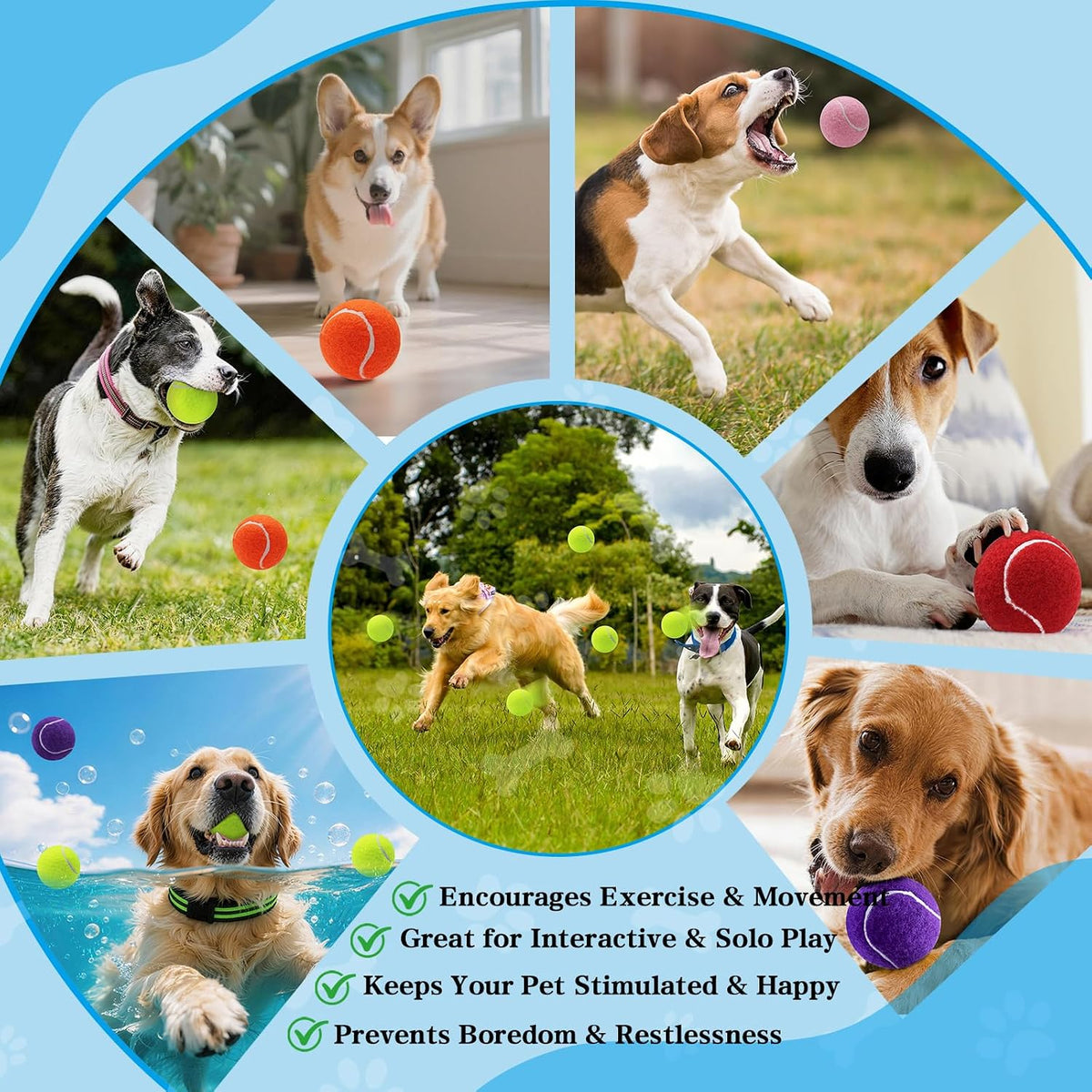 Magicorange Tennis Balls for Dogs,Colorful Easy Catching Dog Balls,16 Pack | Bright Yellow/Pink/Orange/Blue Dog Playing Balls, Easy to Spot And Fetch, with Mesh Bag for Training and Outdoor Fun