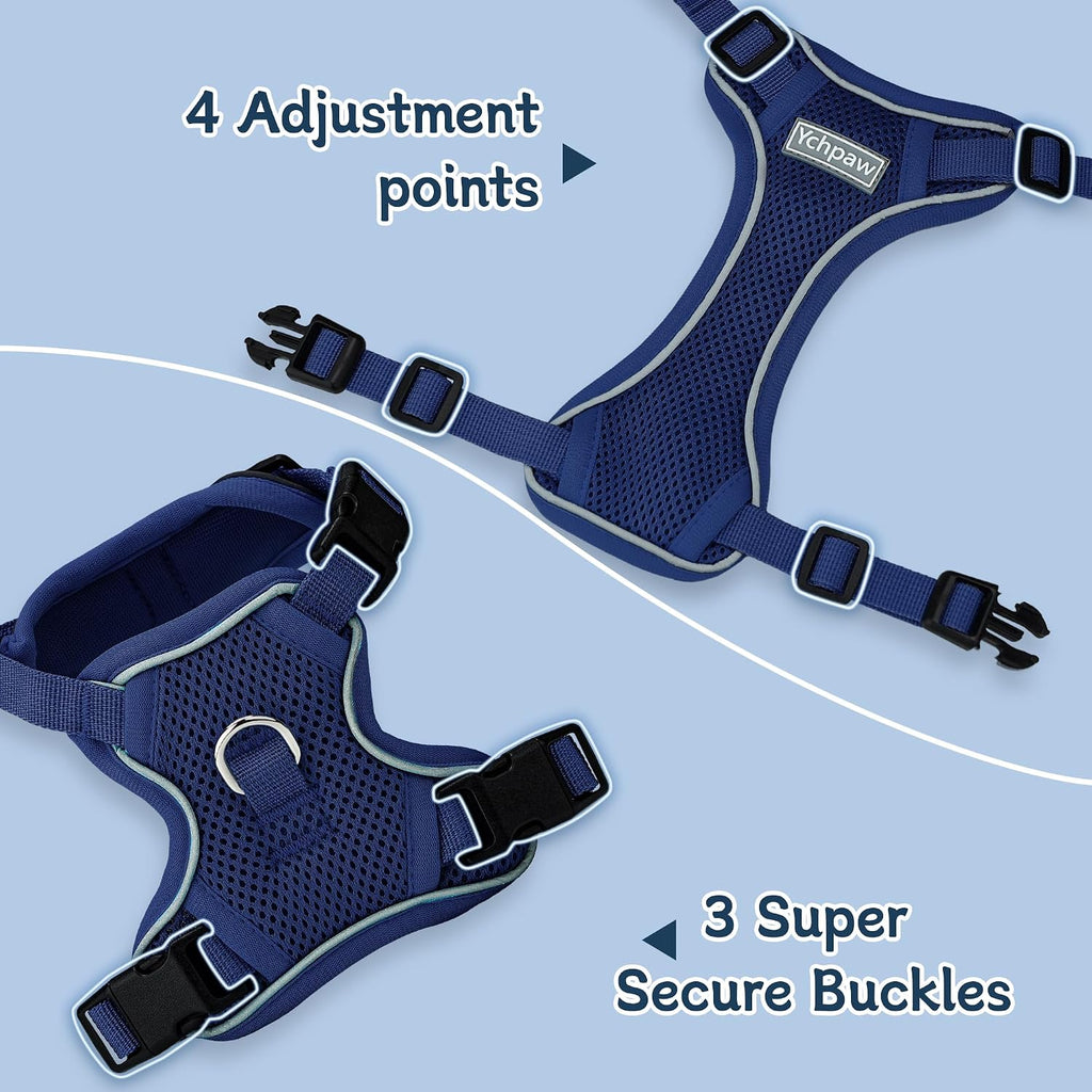 Small Dog Harness and Leash Set, Adjustable Small Sized Pet Vest