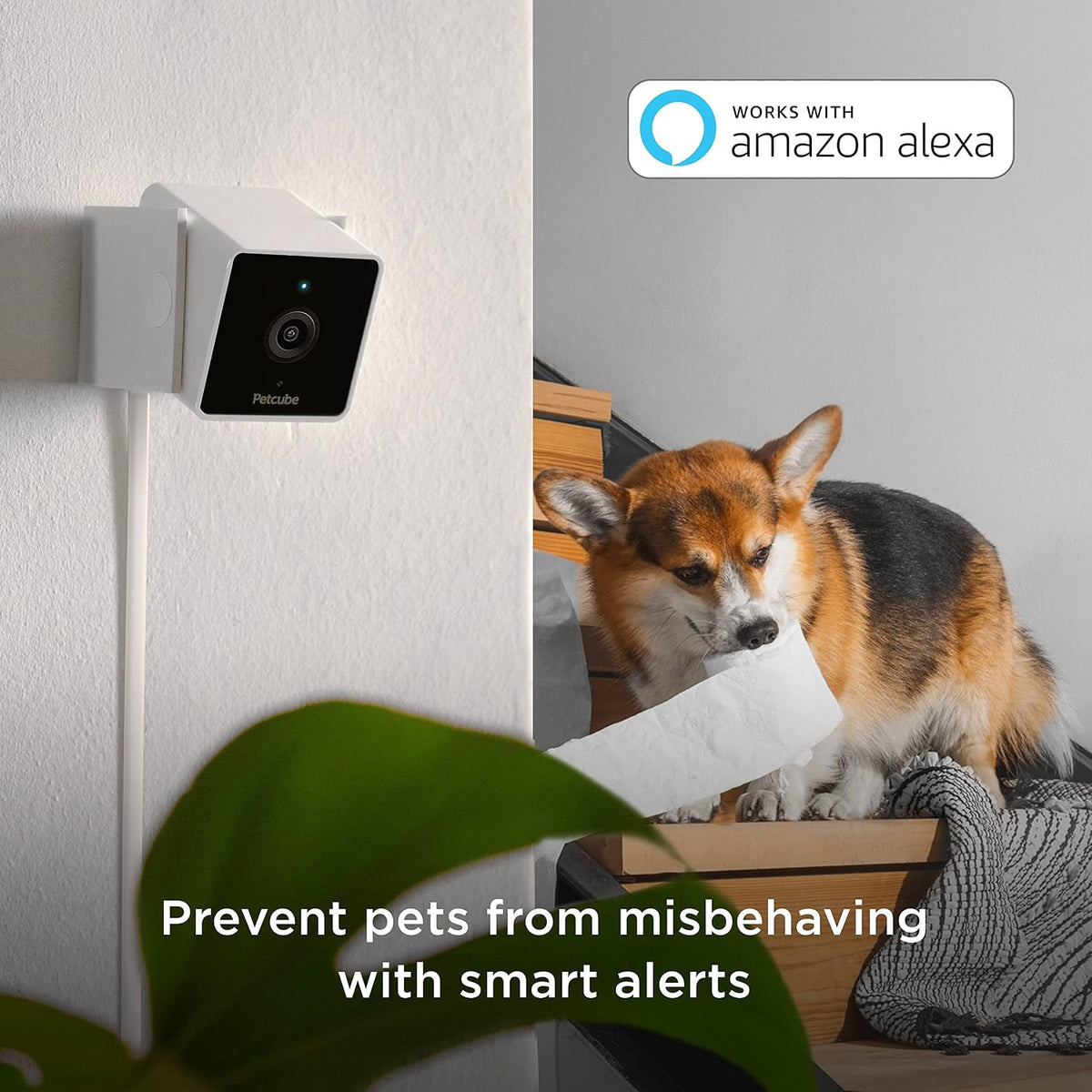 Petcube Cam – Indoor Wi-Fi Home Security Camera with App, 1080p HD