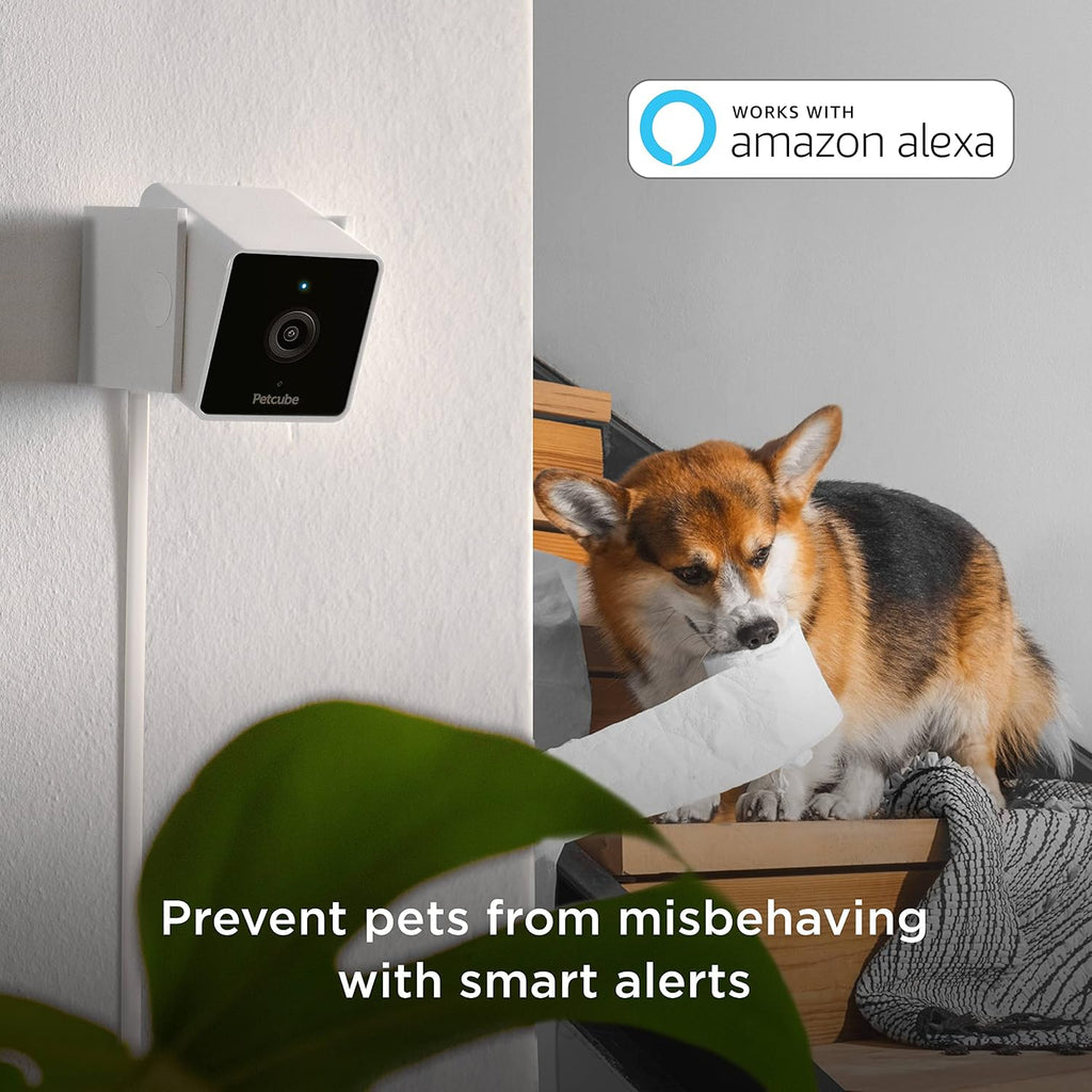 Petcube Cam (2-Pack) – Indoor Wi-Fi Home Security Camera with App