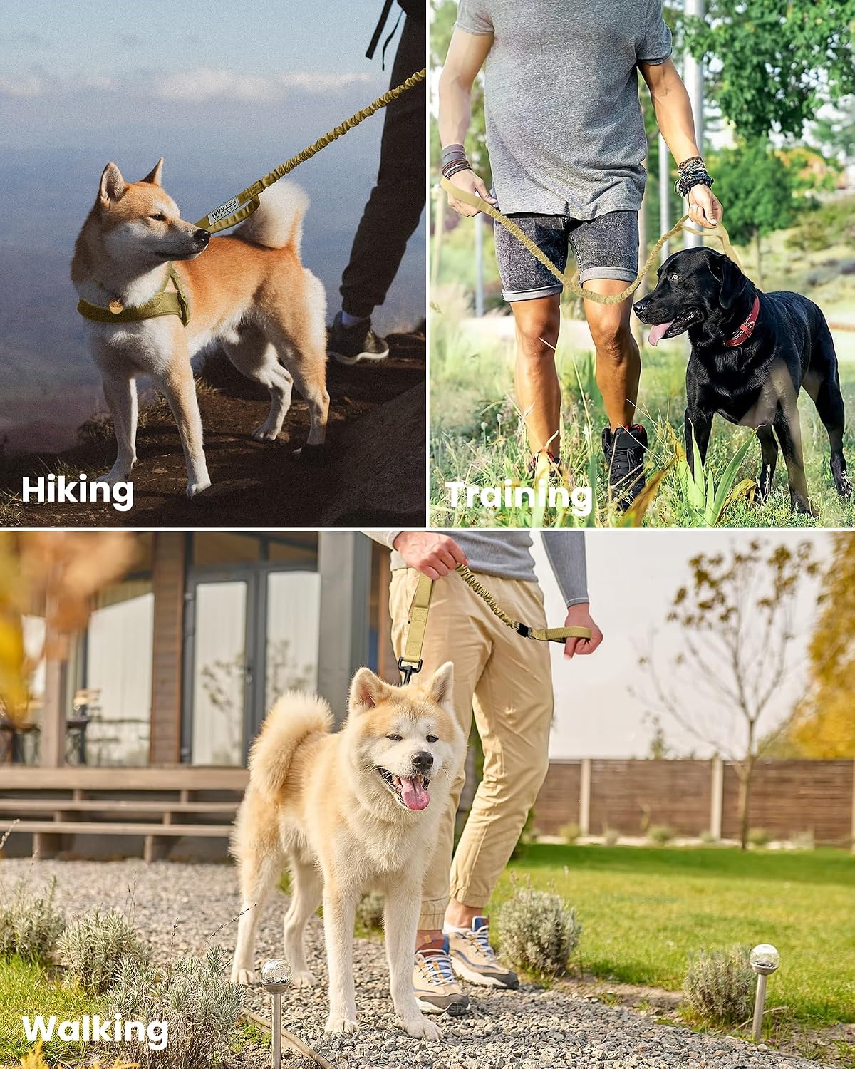 OutdoorMaster Bungee Dog Leash, Heavy Duty Dog Leash with Shock Absorption