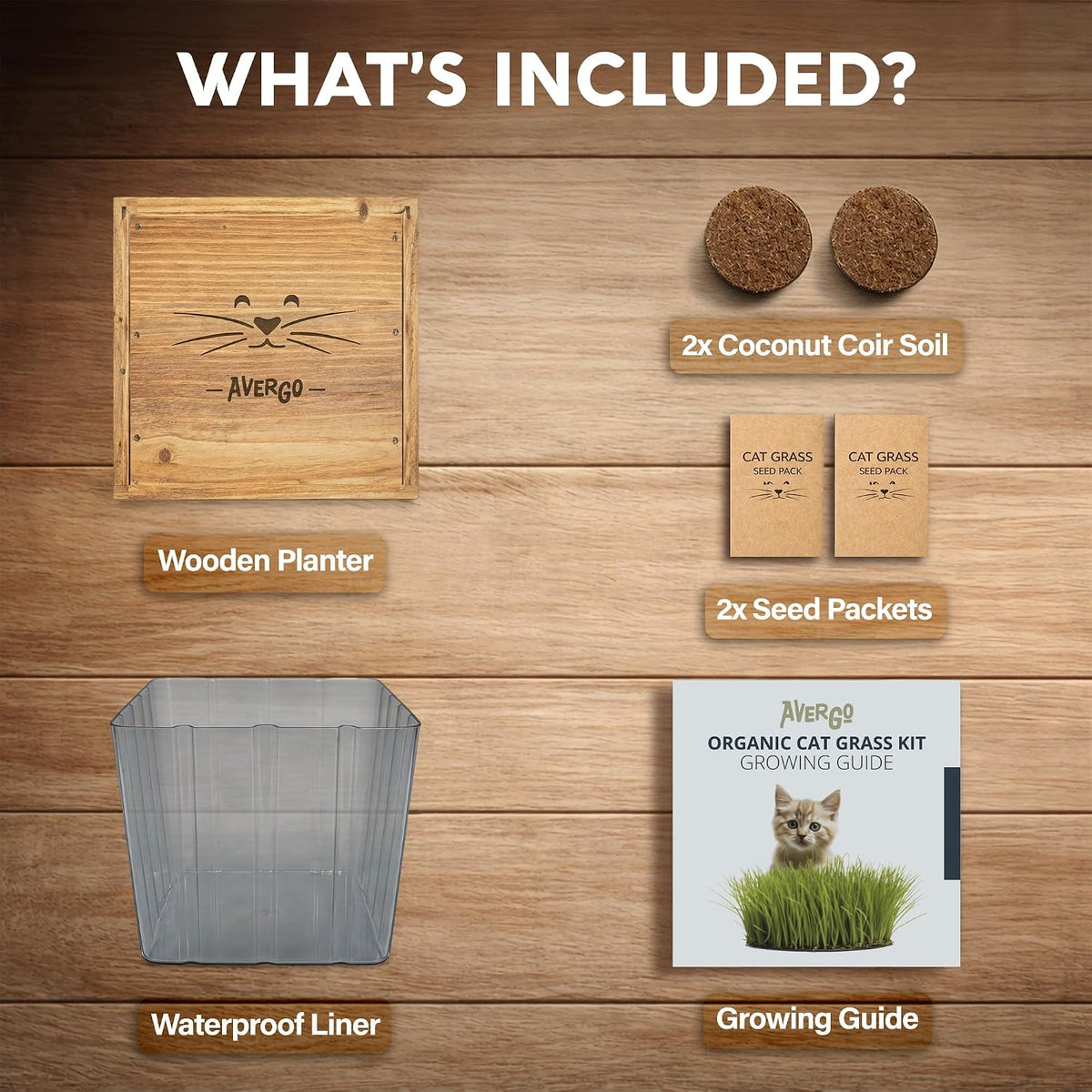Cat Grass Kit for Indoor Cats – x2 Seed Packets