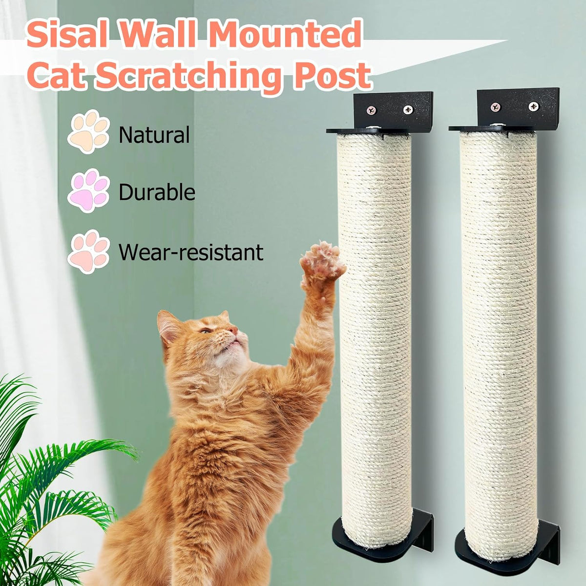 Cat Scratching Post Wall Mounted 2-in-1 Cage Mount Cat Scratcher
