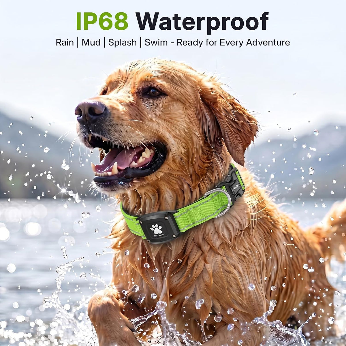 GPS Dog Collar with Tracker, Waterproof, No Monthly Fee, Green, XS
