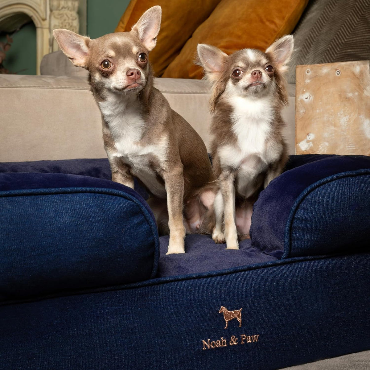 NOAH & PAW Dog Bed, Orthopedic Memory Cooling Foam (2X Base) 28x23x11in