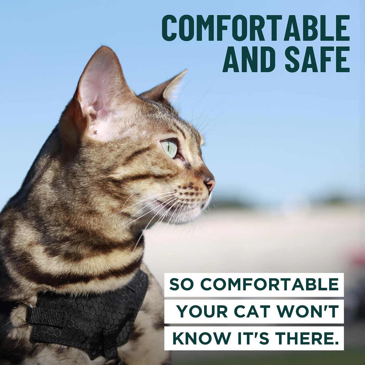 OutdoorBengal Houdini™ Escape Proof Cat Harness and Leash (Black, S)