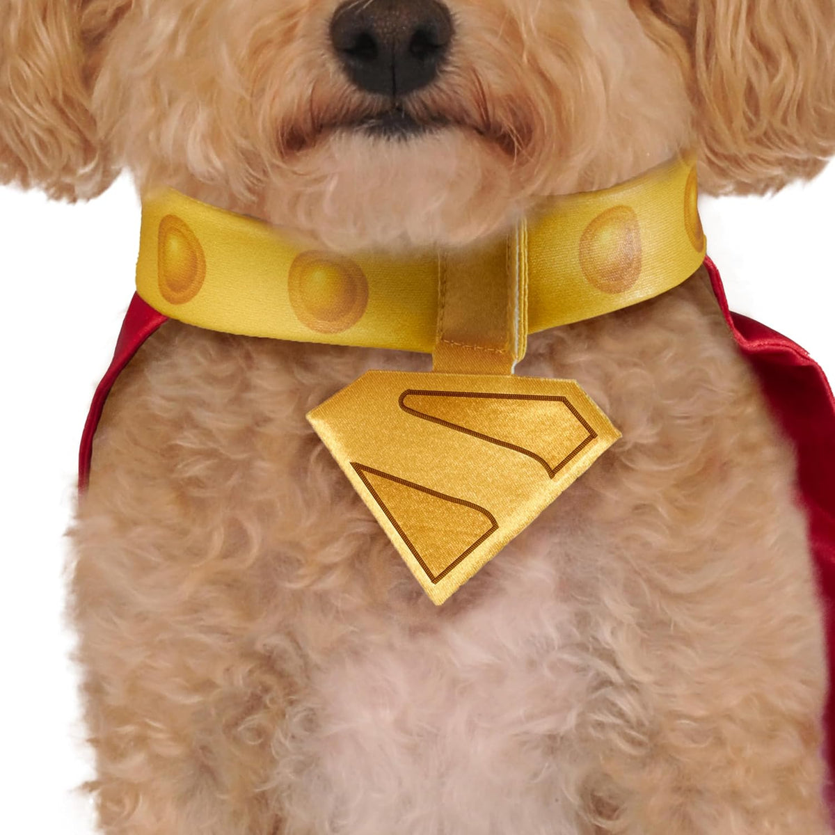 Rubies DC Superman Movie (2025): Krypto Pet Cape & Collar for Dogs or Cats, Extra Large