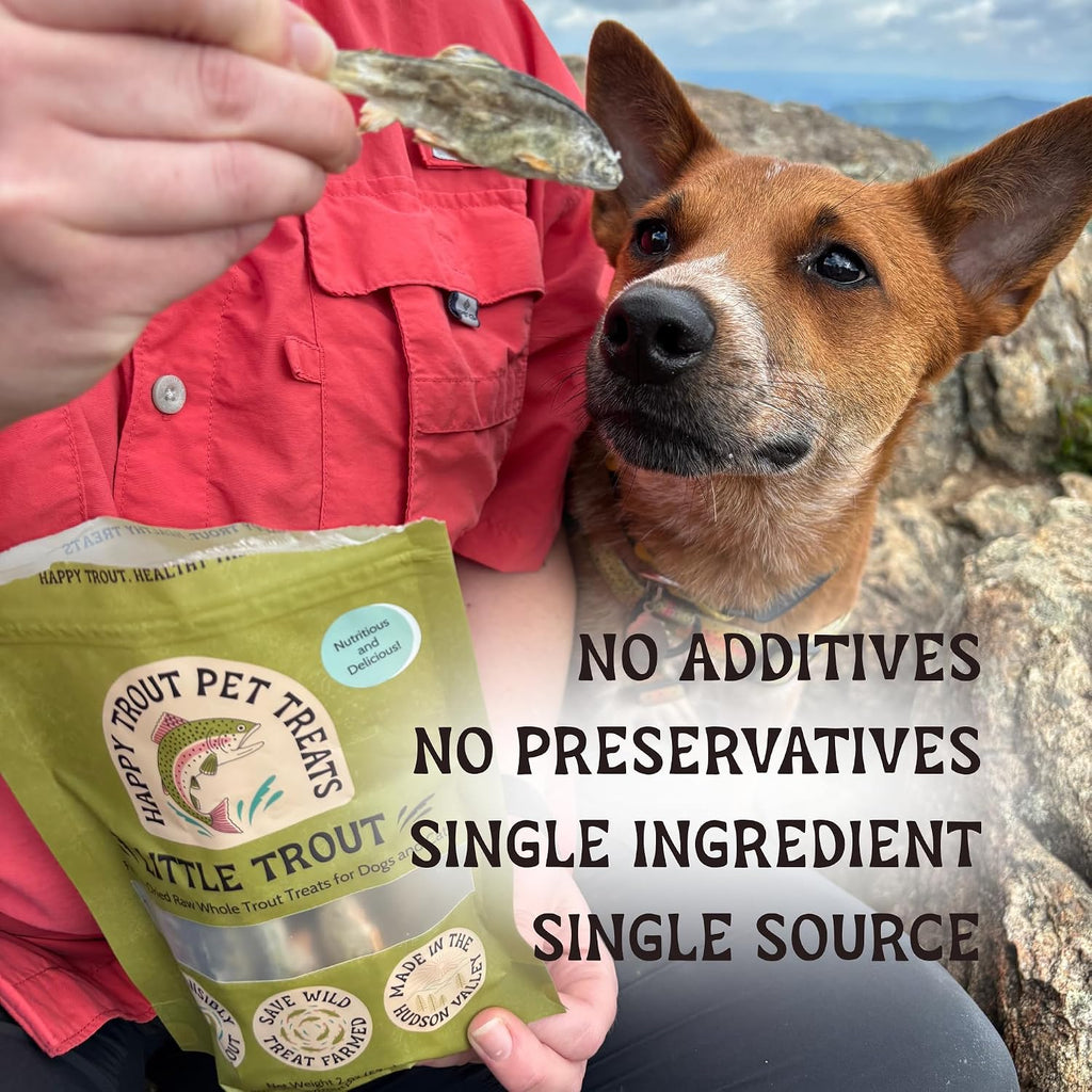 Little Trout, Freeze-Dried Raw Whole Trout Treats for Dogs and Cats, Single Ingredient, High in Natural Protein and Omega 3s (2 oz Package), 100% Grown, Harvested, Produced, and Packaged in USA