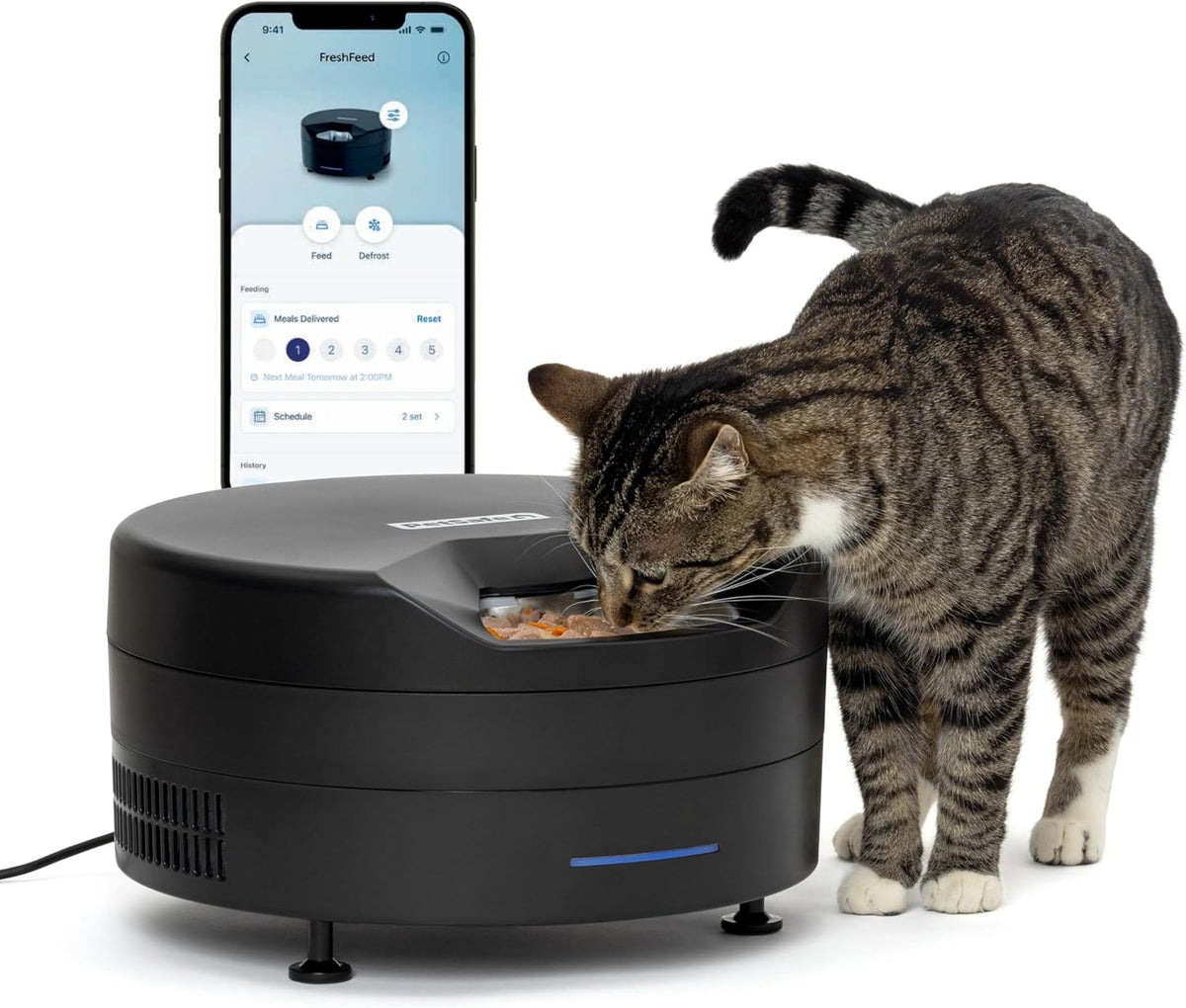 PetSafe FreshFeed Refrigerated Automatic Wet Food Feeder, 6 Meals, Black