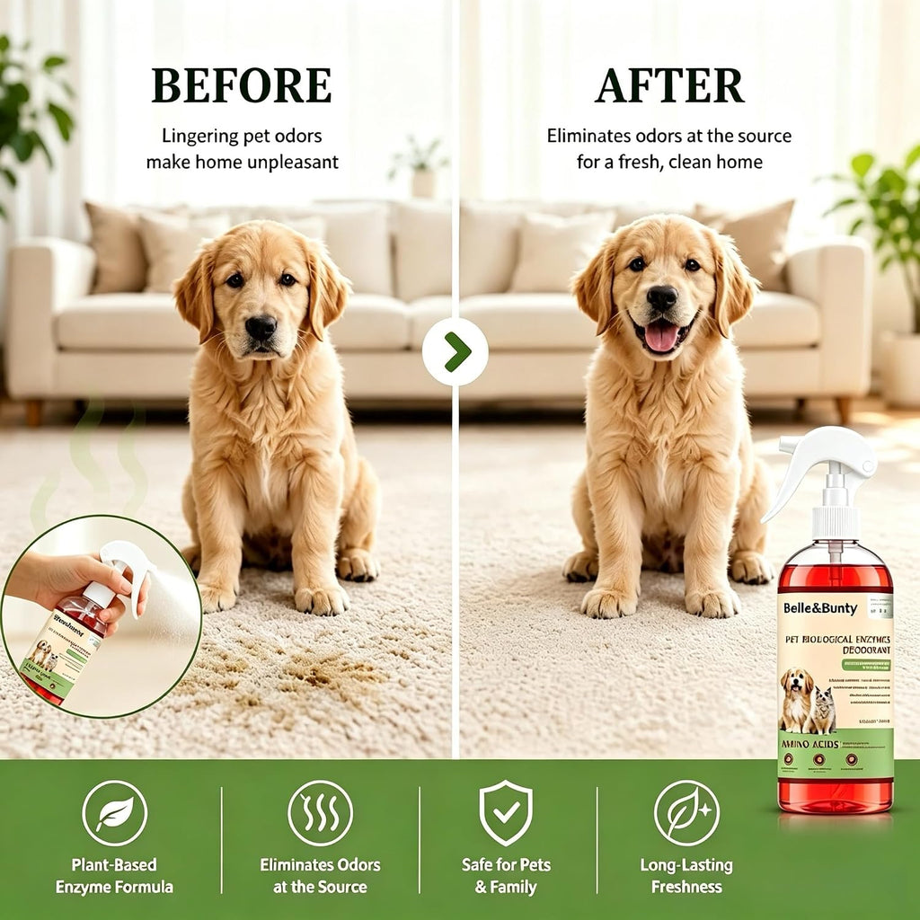 Belle & Bunty Pet Odor Eliminator Spray, Enzyme Cleaner for Dog Urine and Cat Urine, Pet Stain & Odor Remover for Carpet, Cat Litter Deodorizer, Dog Pee Cleaner for Home, Kennel and Furniture, 300ml