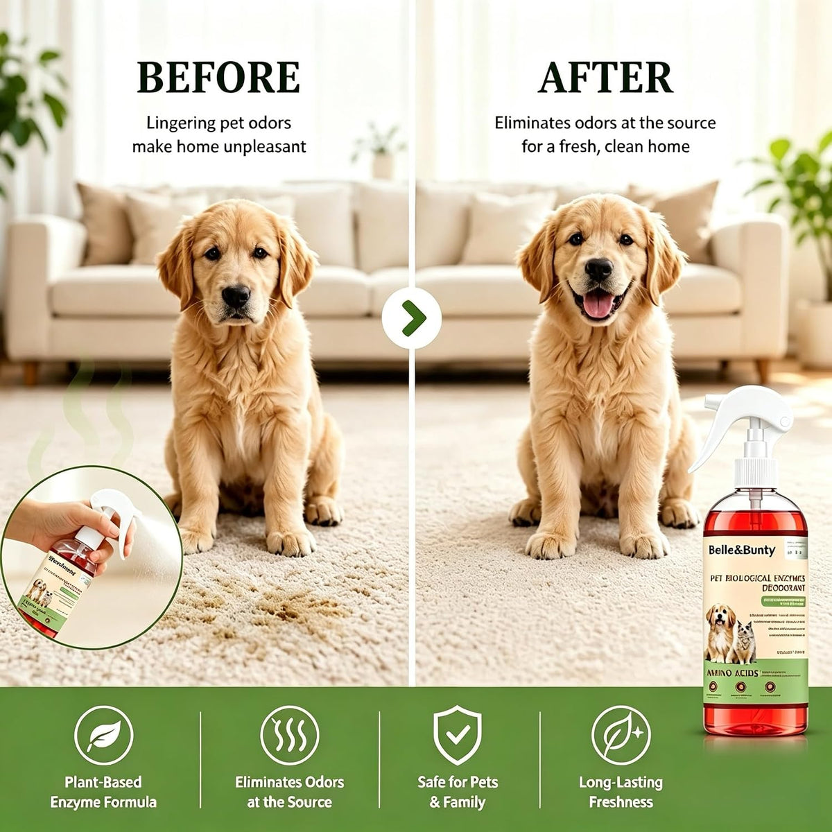 Belle & Bunty Pet Odor Eliminator Spray, Enzyme Cleaner for Dog Urine and Cat Urine, Pet Stain & Odor Remover for Carpet, Cat Litter Deodorizer, Dog Pee Cleaner for Home, Kennel and Furniture, 300ml