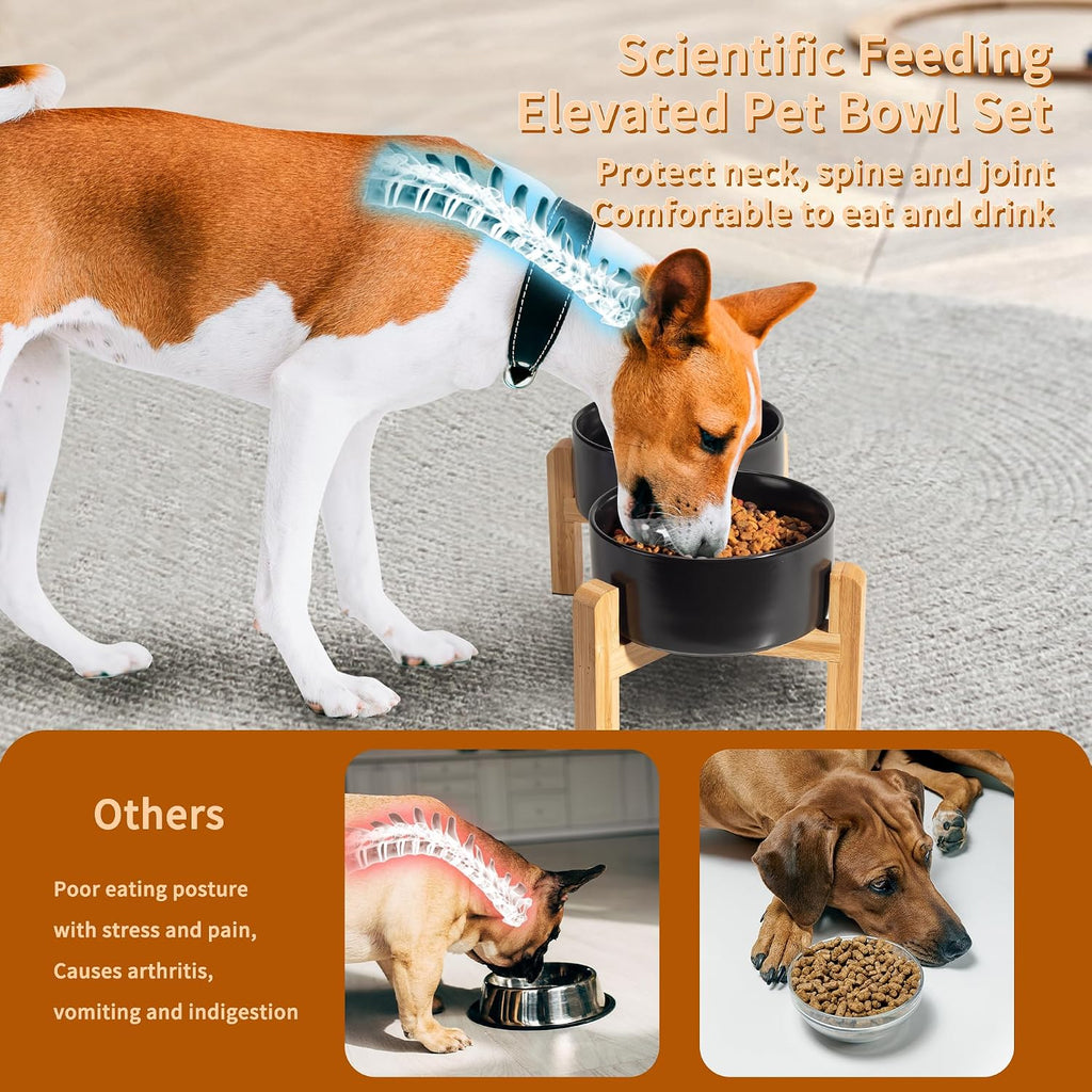 Elevated Ceramic Dog Bowl, 3.6 Cups Dog Food and Water Bowl Set with Stand | 6.1'' Double Dog Feeding Dishes, Non-Slip Raised Dog Feeder for Small and Medium Breeds, 28.74 OZ / 850 ML, White