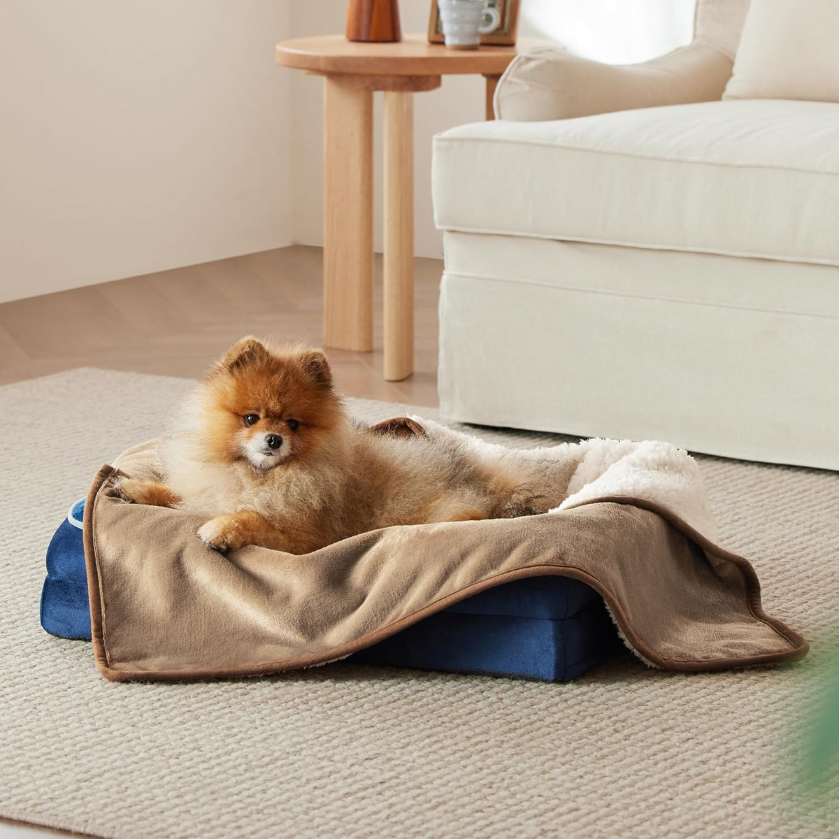 Bedsure Waterproof Dog Blankets for Small Dogs Soft Cat Blanket Warm,25X35