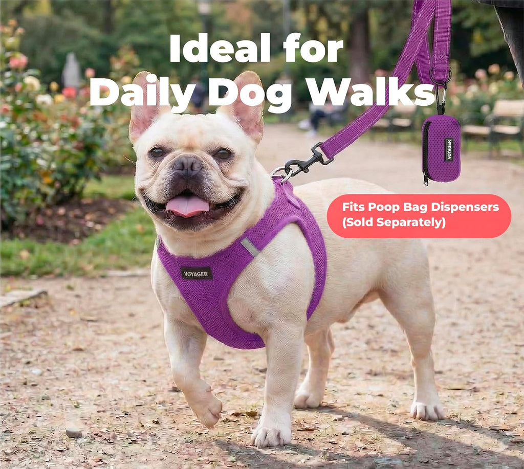 Best Pet Supplies Voyager Nylon Dog Leash - Purple, Large