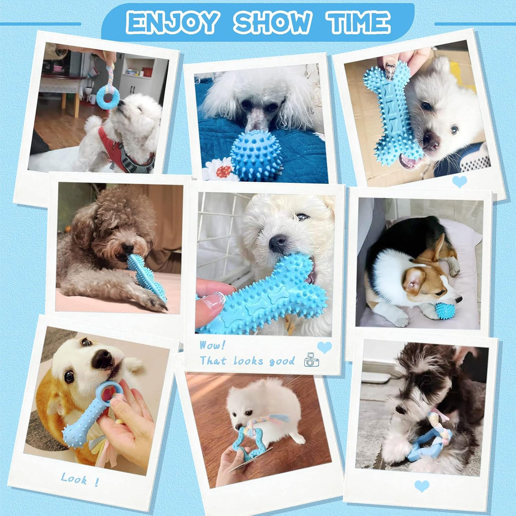 Petcare 6 Pack Puppy Chew Toys - Blue, Soft Rubber Rope & Bone Ball Teething Toys for Small Dogs & Puppies, Including Yorkie