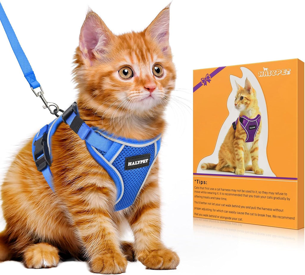 Cat Harness and Leash Set,Escape Proof Kitten Harness,Blue