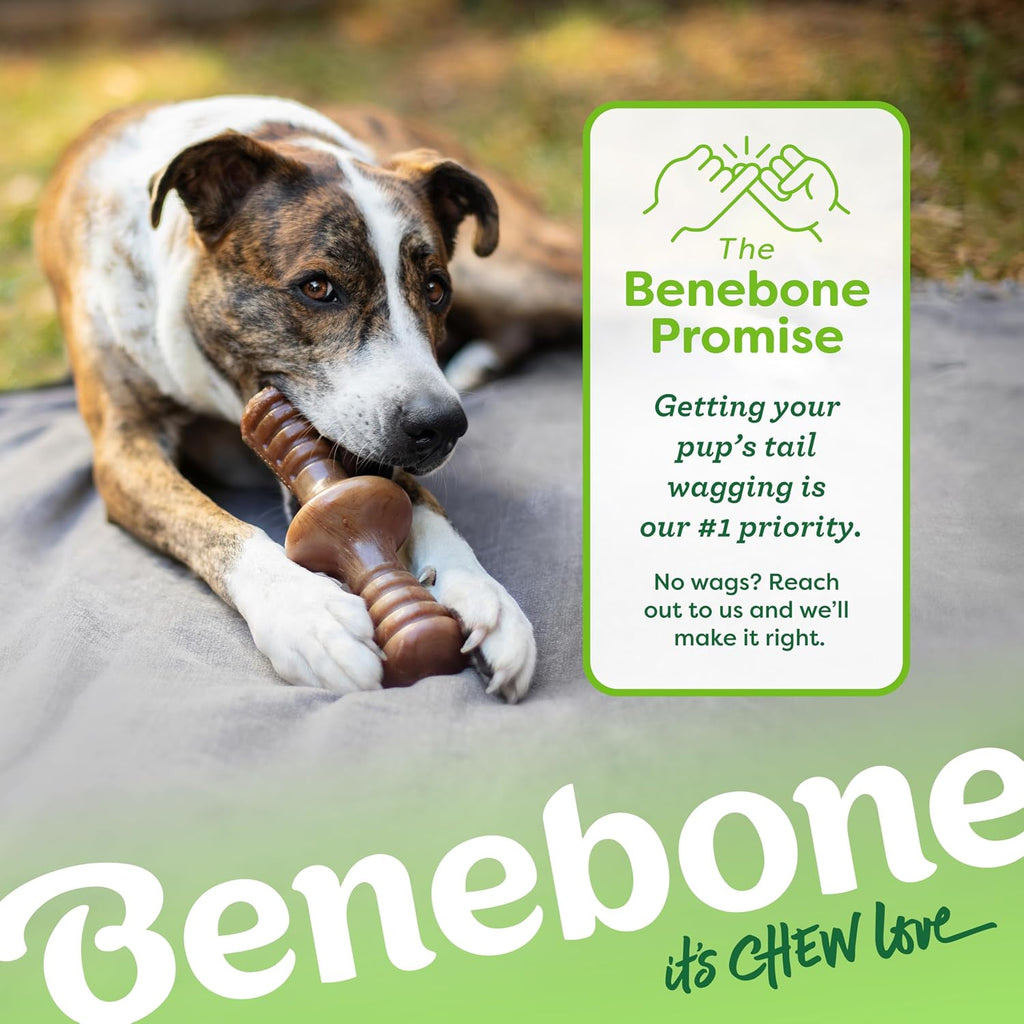 Benebone Zaggler Rolling Dog Chew Toy for Aggressive Chewers, Real Bacon, Made in USA, Small (Pack of 2)