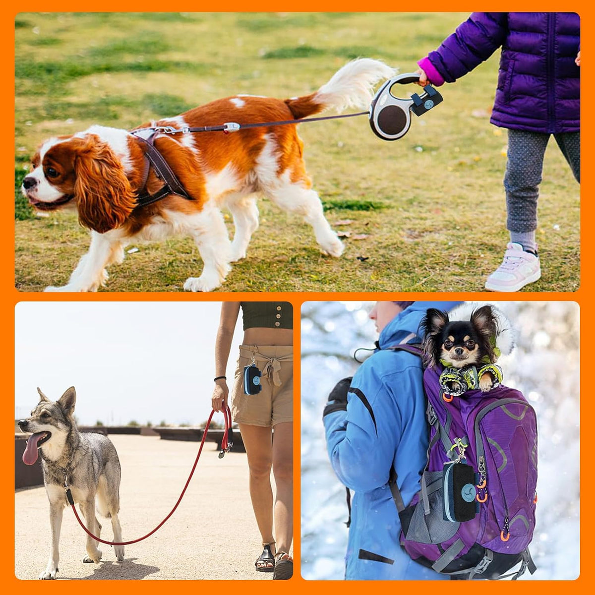 Dog Poop Bag Holder for Leash, Large-Capacity Canvas Pouch, Black | Holds one bag roll, keys, treats, and small essentials with quick access, secure straps, and water-resistant canvas