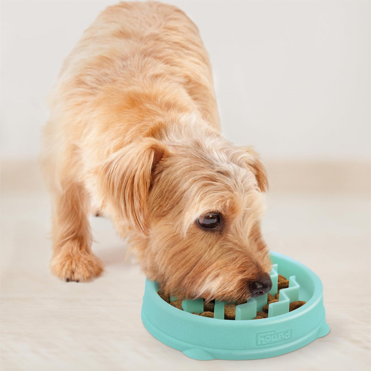 Outward Hound Fun Feeder Slo Bowl – Small 3/4-Cup Capacity, Slow Feeding, Small Dogs, Puppies & Cats, Non-Slip, Mint, Wave Pattern | Slows Fast Eaters, Can Aid Digestion, Holds 3/4 Cup Dry or Wet Food, Non-Slip Base, No BPA, Small Dogs, Puppies & Cats 