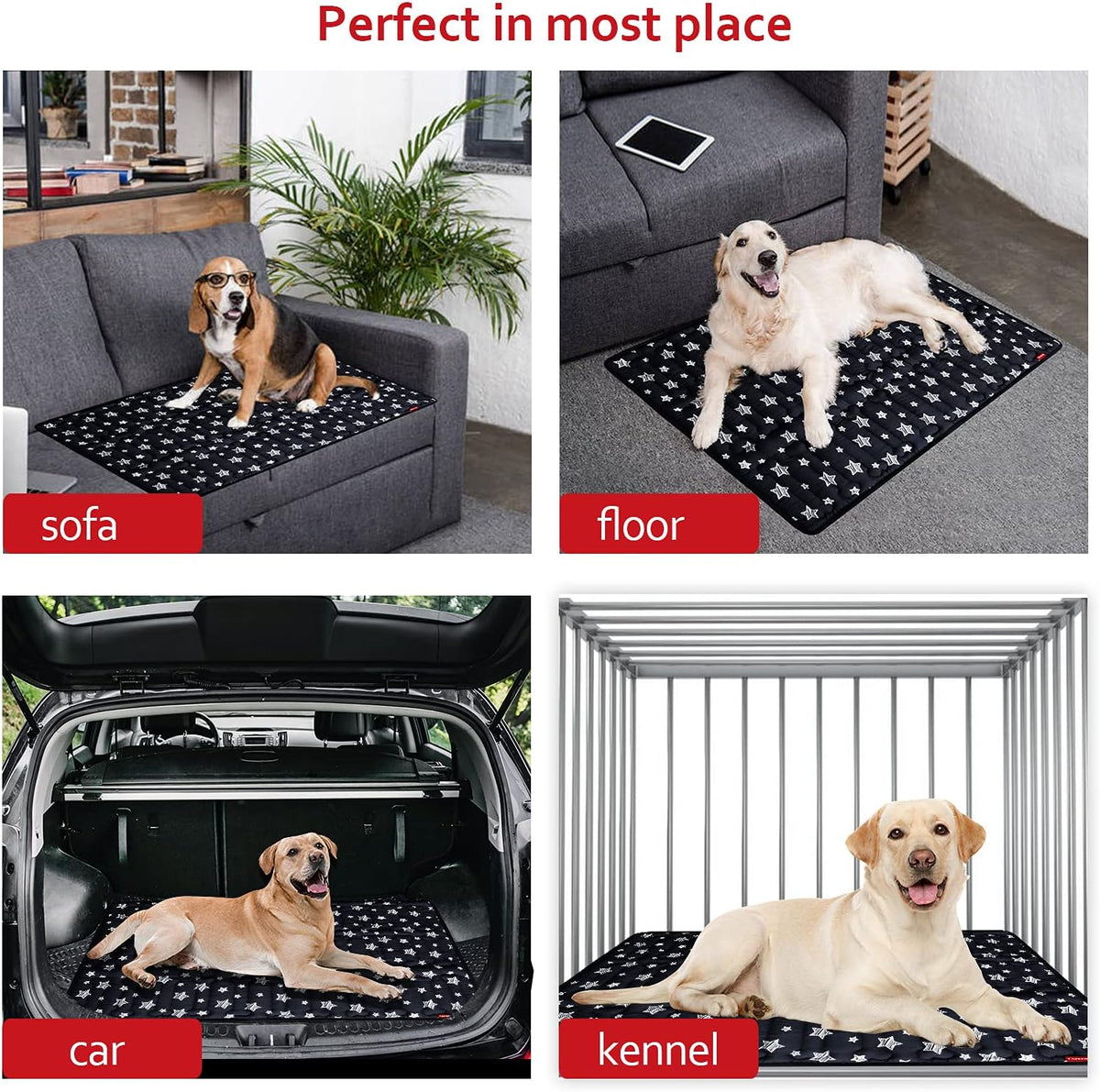 Dog Crate Pad Mat (48" X 30"), Soft Dog Bed Mat with Cute Prints