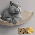 Cat Wall Shelf (Curved) - Indoor & Outdoor by Pryde Pets