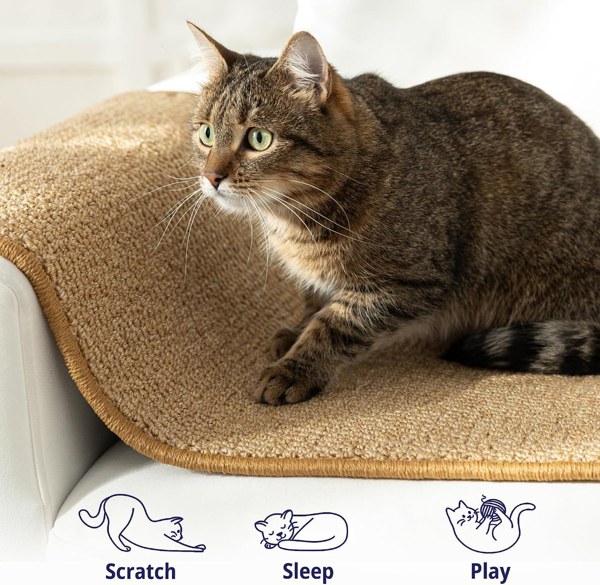 Cat Wall Climbing Carpet - Cat Wall Scratcher 50" x 17" with Fixed Nails
