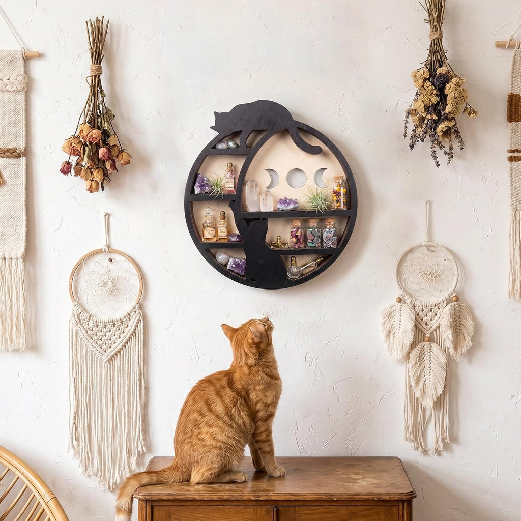 Cat on The Moon Crystal Display Shelf, Cat Decor for Home Floating Shelve