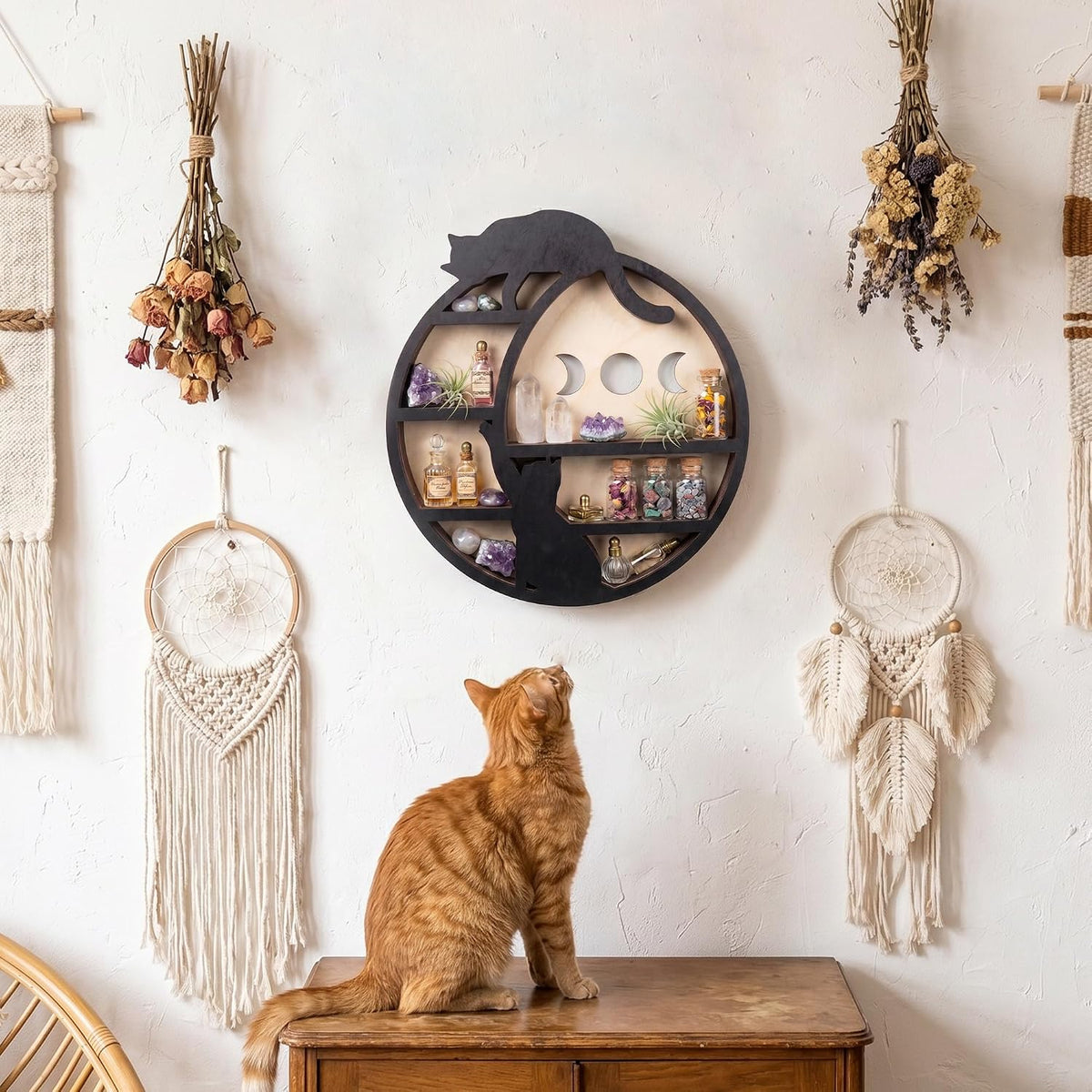 Cat on The Moon Crystal Display Shelf, Cat Decor for Home Floating Shelve