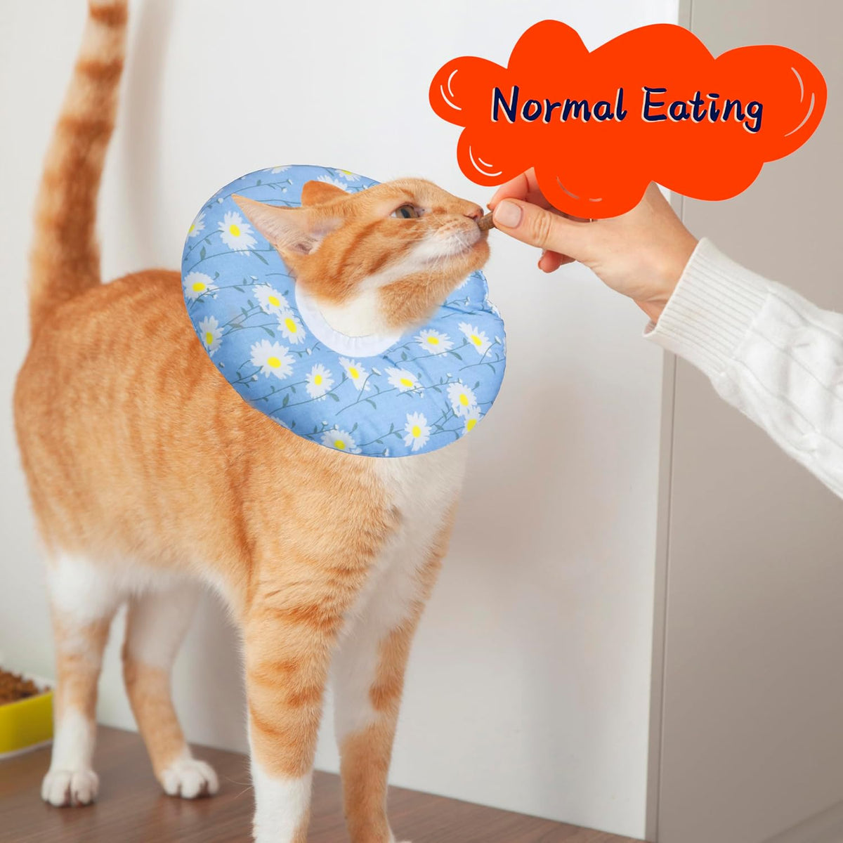Seyezo Cat Cone Collar, Anti-Bite Cat Recovery Collar, Blue Daisy, Large
