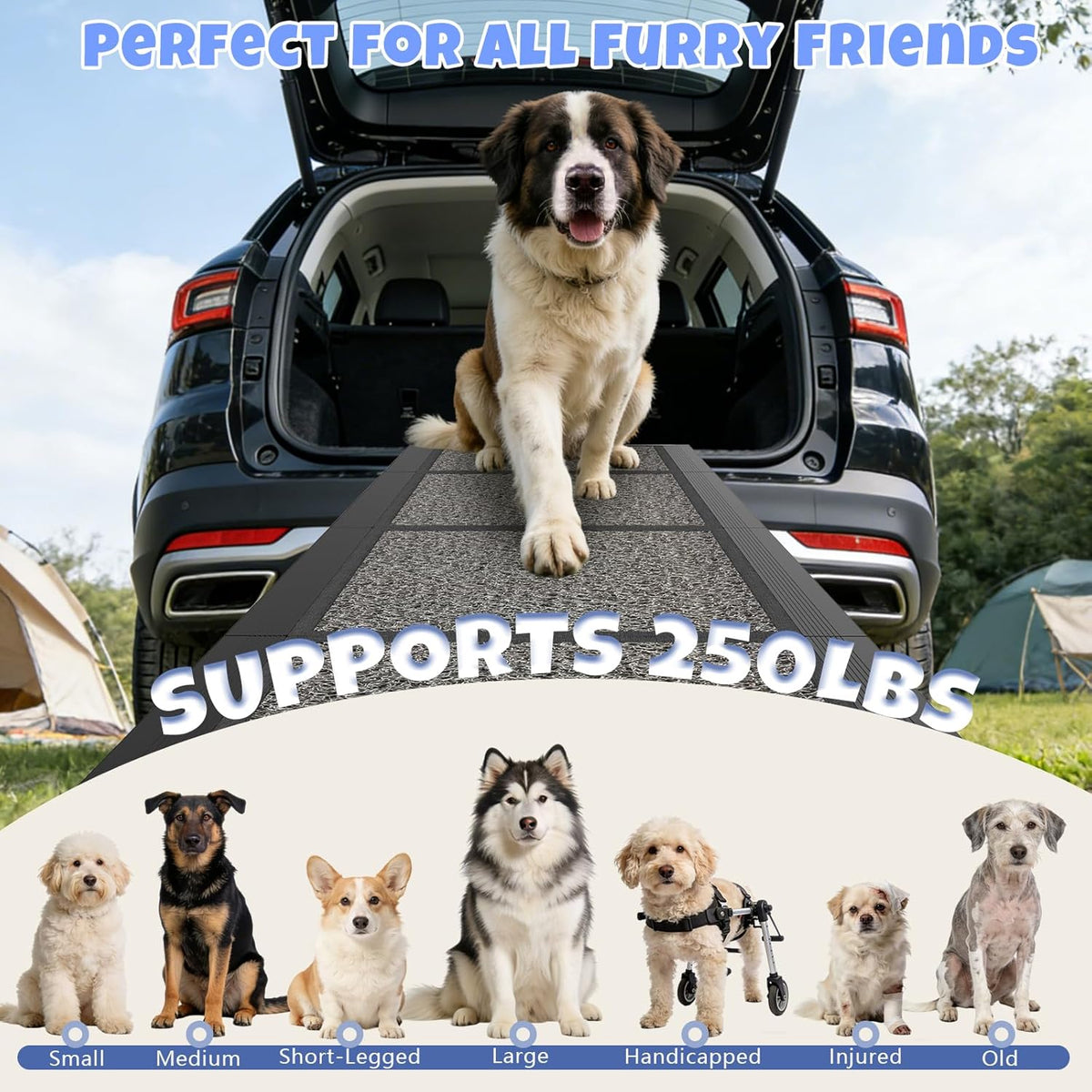 Dog Ramp for Car, Truck, 63"x17" Folding Non-Slip Pet Ramp for Large Dogs