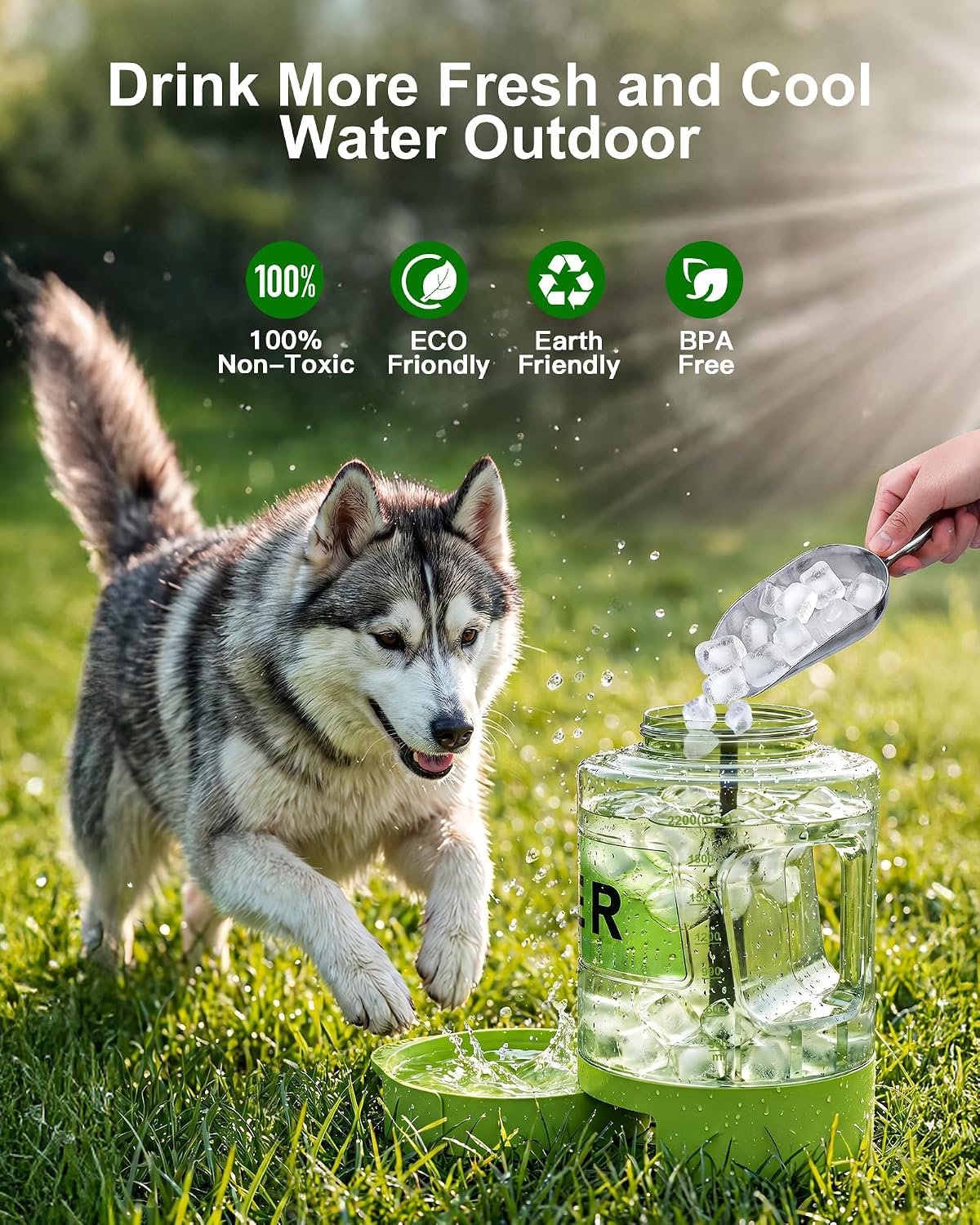 77 oz Portable Dog Water Bottle, 2.2L Dog Travel Water Dispenser Olive Green | Food-grade, BPA-free material, silicone seal, easy-clean wide mouth, grip handle, for large dogs, hiking, camping, beach days