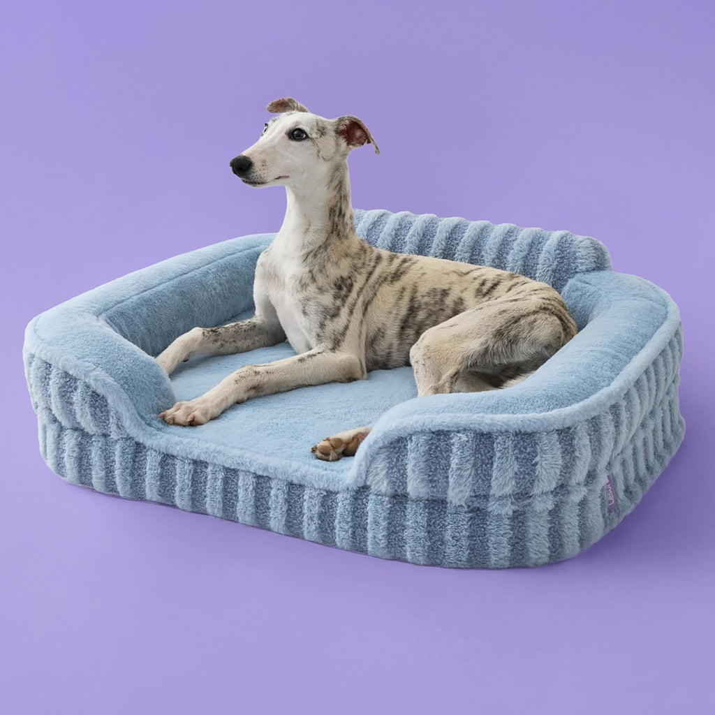 LE SURE Cute Cozy High Back Orthopedic Dog Beds Medium Size Dog,28" Blue