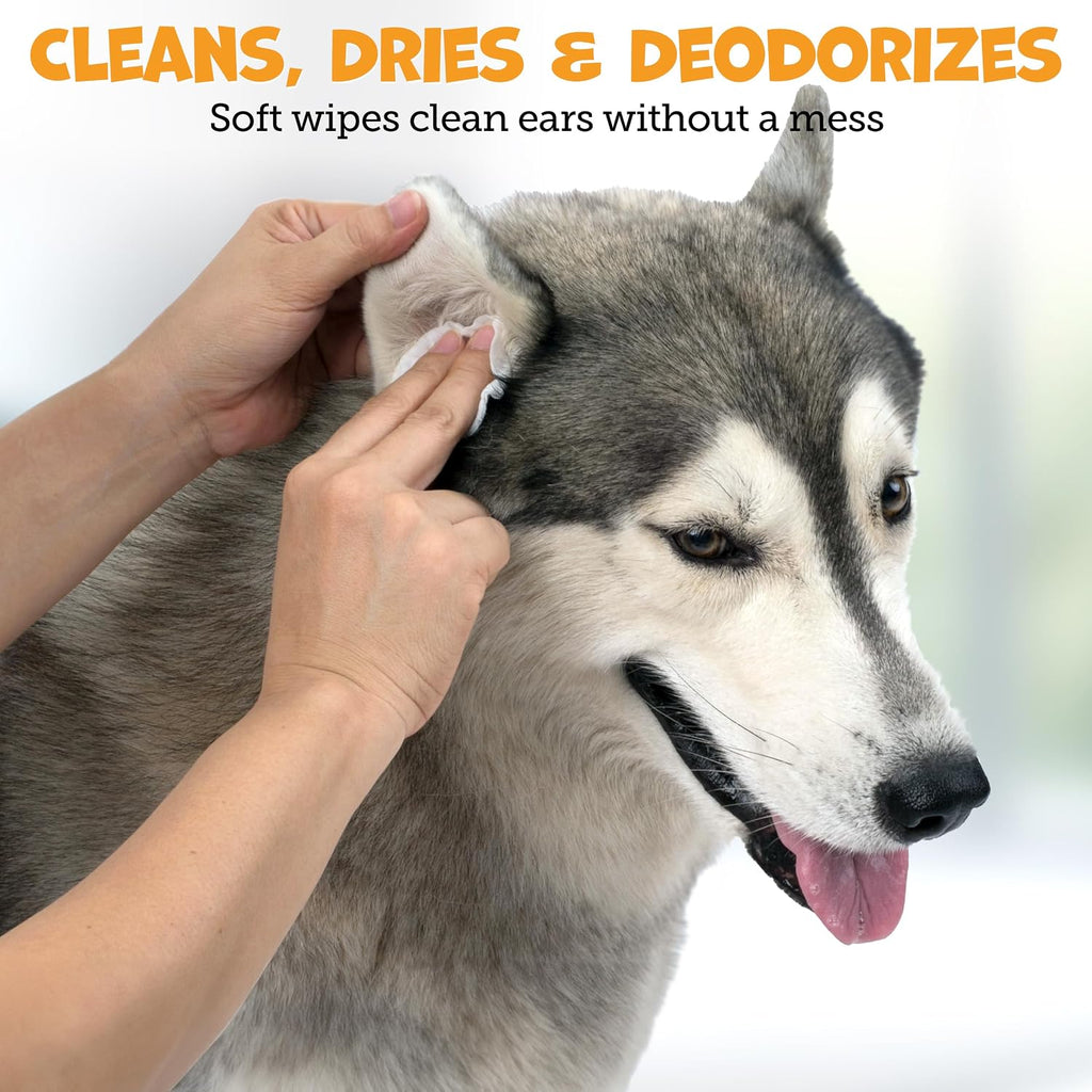 Pack Approved Advanced Ear Wipes for Dogs & Cats with Aloe Vera - 100ct