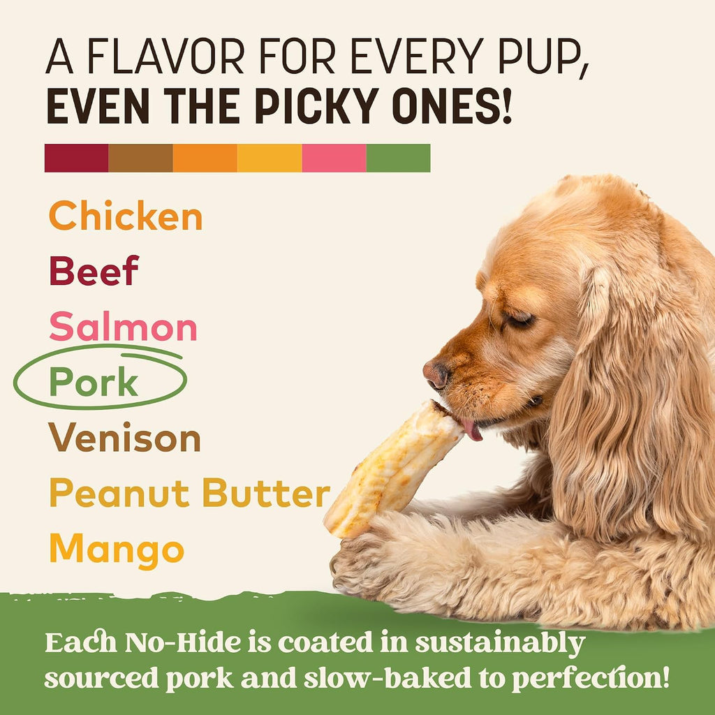 Earth Animal No Hide Dog Chews - Rawhide Free Small Rolls 2 Count Pork