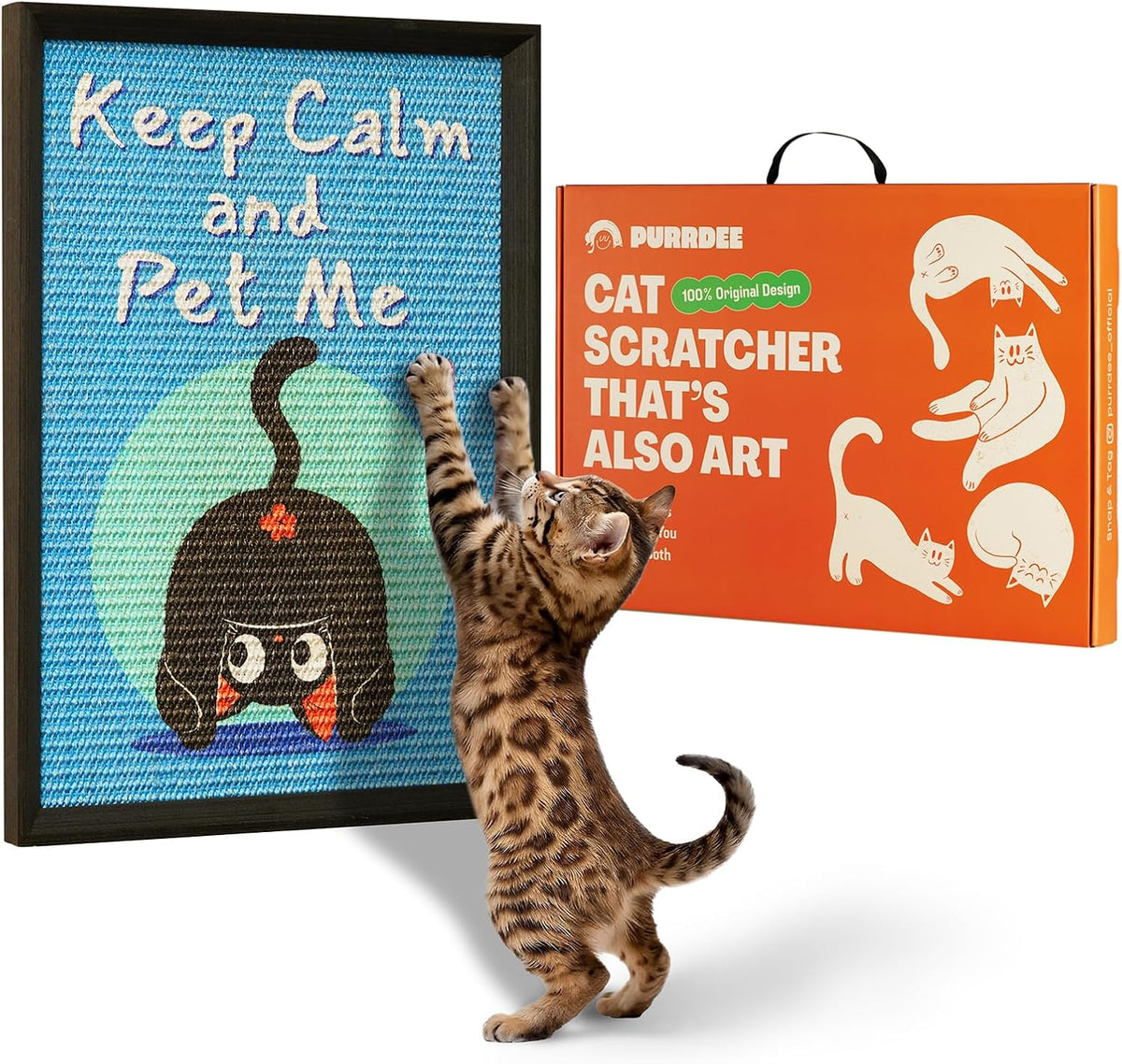 Decorative Wall Art Cat Scratcher Funny Cat Quote Sisal Scratch Pad