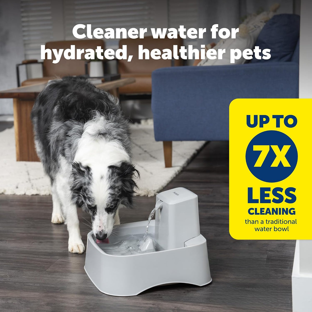 PetSafe Oasys Pet Fountain, 2 Gallon (256 oz), Cats, Dogs & Multi-Pet Homes