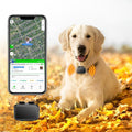 GPS Tracker for Dogs, 4G Waterproof Pet Tracker, Small