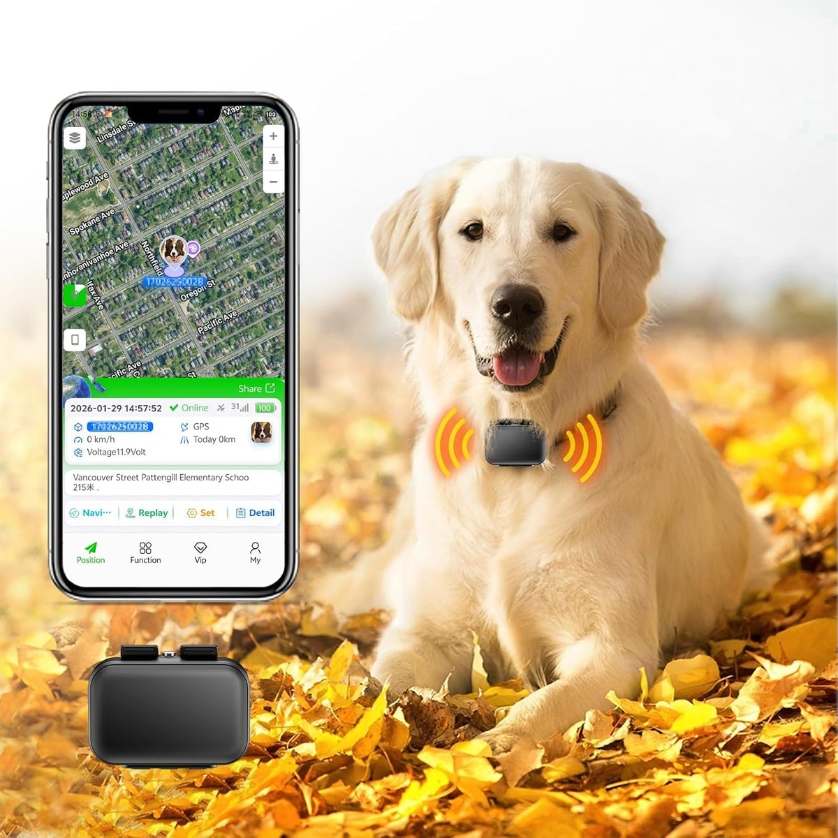 GPS Tracker for Dogs, 4G Waterproof Pet Tracker, Small