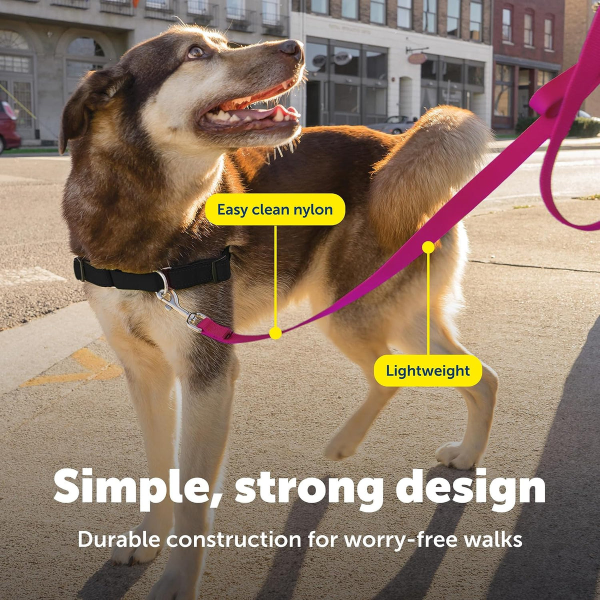 PetSafe Nylon Dog Leash - Strong, Durable, Traditional Style Leash with Easy to Use Bolt Snap - 3/4 in. x 6 ft., Deep Purple