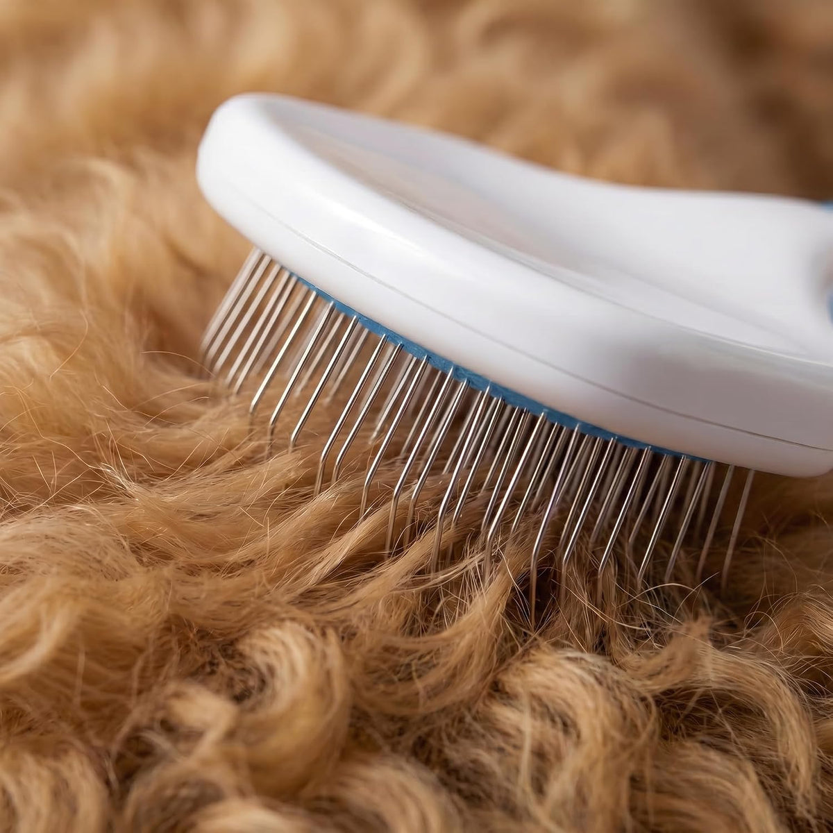 Poodle Pet Slicker Brush - For Dogs, Cats, and Rabbits - Removes Matted Fur, Knots, and Loose Hair - Suitable for Grooming Doodles and Goldendoodles with Short or Long Hair