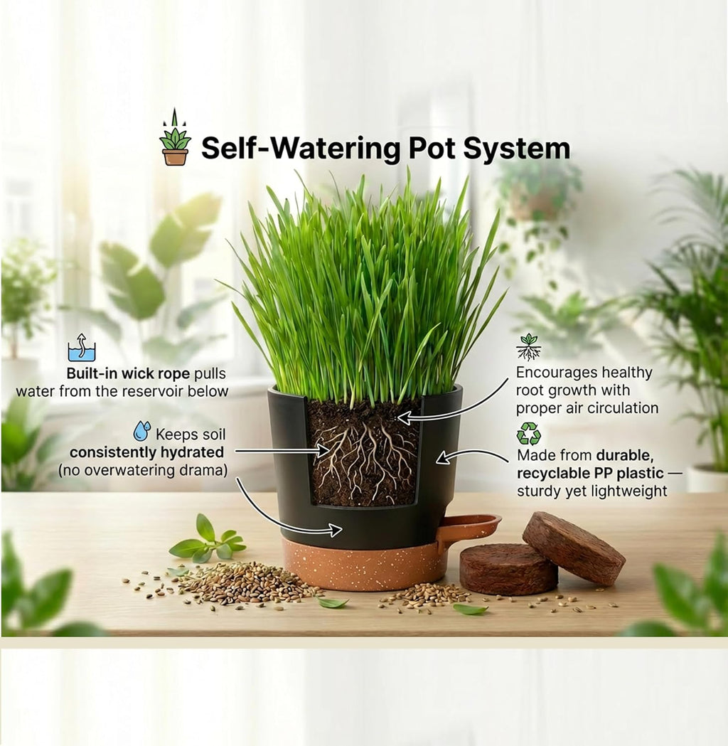 House Tiger Cat Grass Gift Set - Complete All-in-One Kit with Self-Watering Stay Fresh Pot & 3-Pack Refill | Includes Premium Cat Grass Seed, Coco Coir Soil Discs | Aids Digestion & Hairball Control