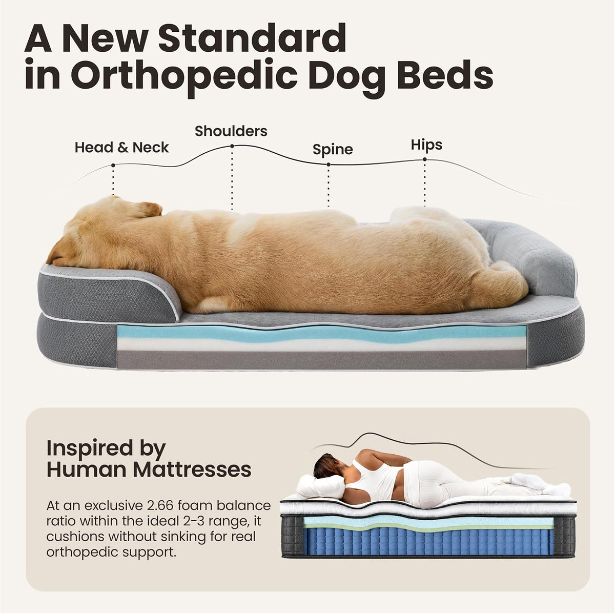 LE SURE RealOrtho™ XL Plus 3-Layer Orthopedic Extra Large Dog Bed,48" Grey