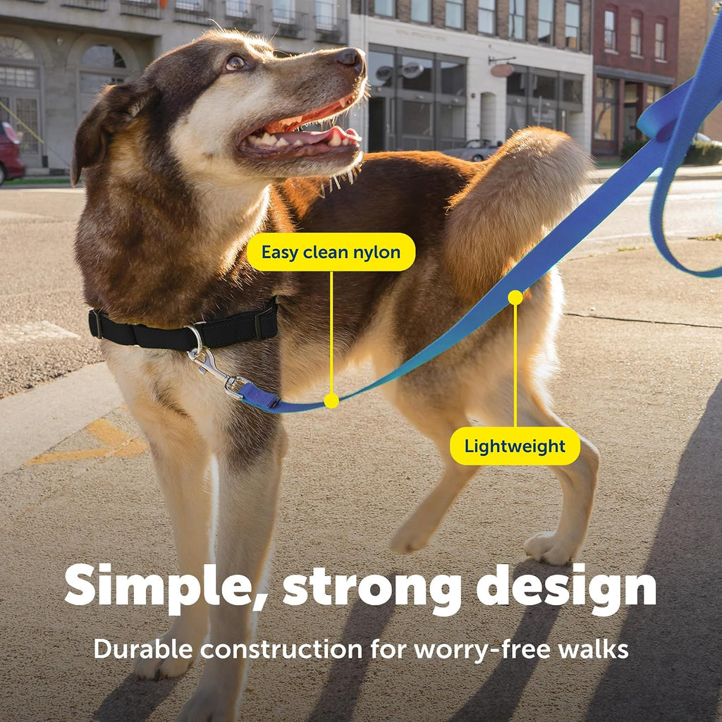 PetSafe Nylon Dog Leash - Strong, Durable, Traditional Style Leash with Easy to Use Bolt Snap - 3/4 in. x 4 ft., Royal Blue