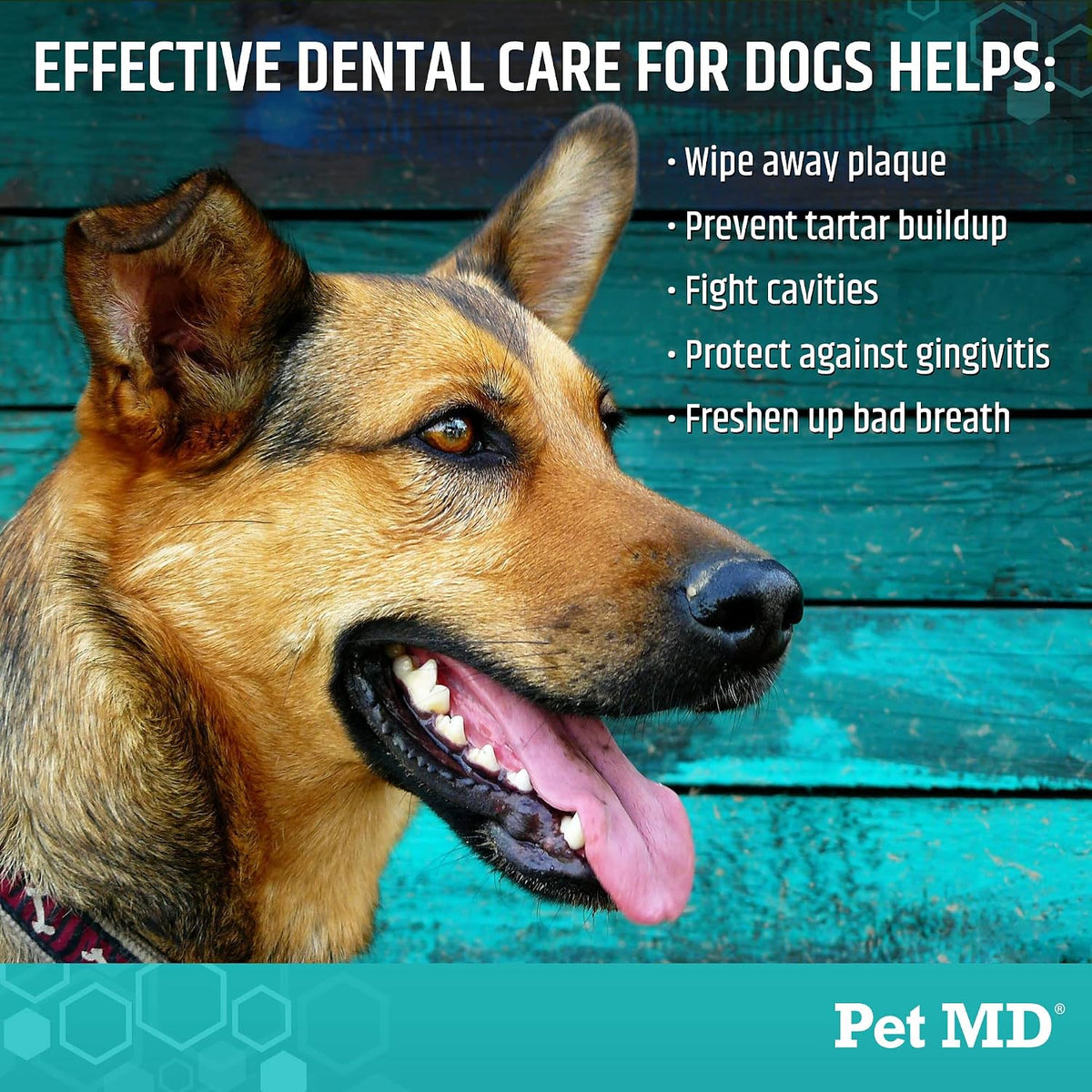 Pet MD Dental Wipes for Dogs Teeth - Fresh Apple & Mint Flavor - 100ct