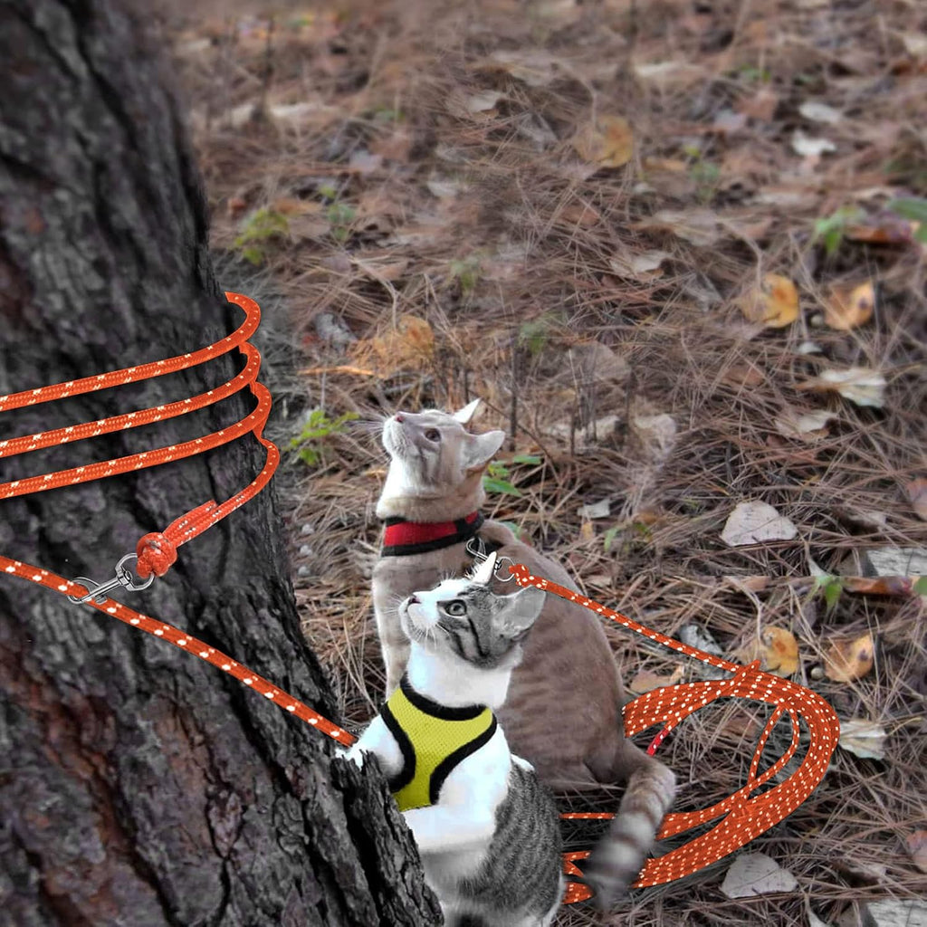 Reflective Cat Long Leash 50 FT, Outdoor Backyard Cat Tie Out Lead,Orange