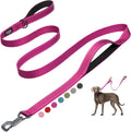 Fida Heavy Duty Dog Leash for Medium Large Dogs, 6 FT, Dual Padded Handles