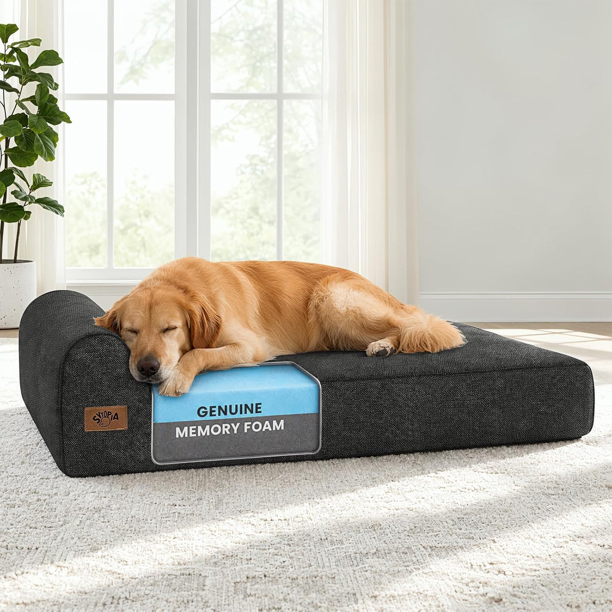 Sytopia 7" Thick Orthopedic Dog Beds for Extra Large Dogs (50" x 34" x 7"), Chew Proof Fabric Cover, 35D Memory Foam Dog Beds with Durable Waterproof Liner & Removable Washable Cover, Black