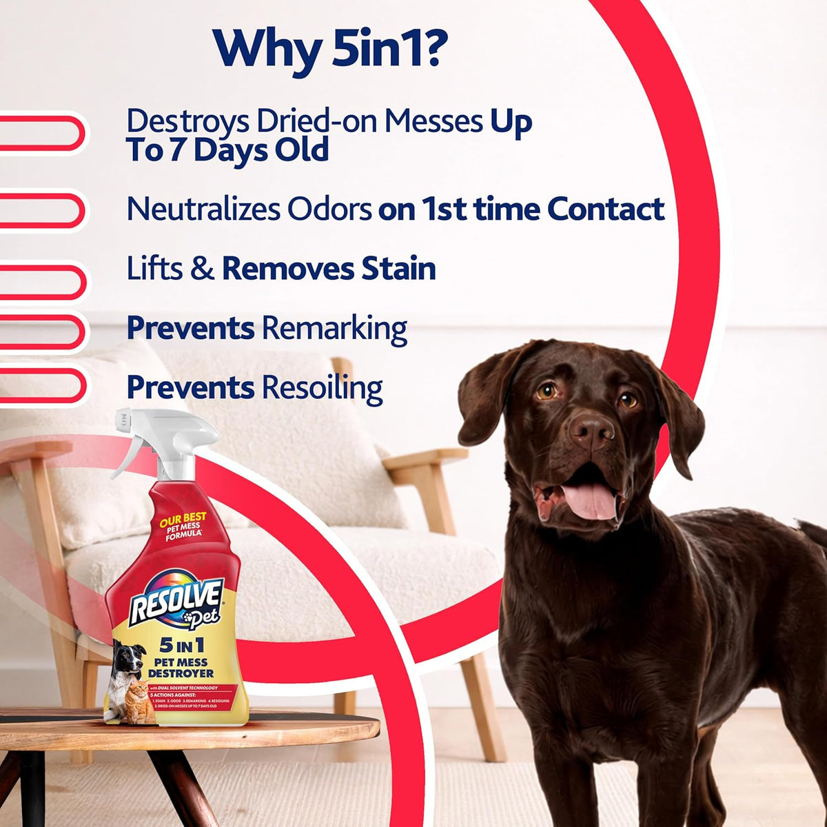 Resolve® 5-in-1 Pet Carpet Cleaner Spray for Stains & Odors, 22oz